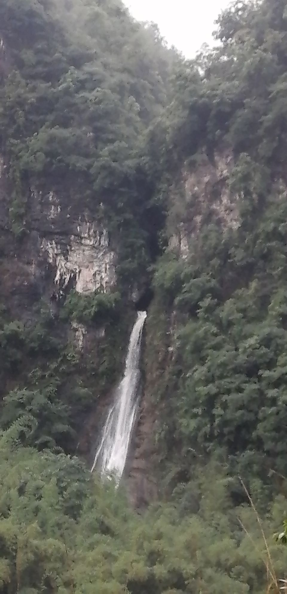 五岔沟峡谷风景区旅行图片 3