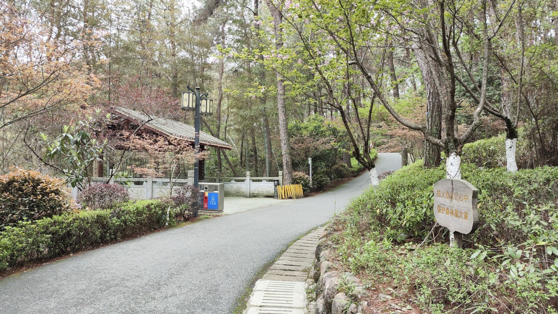 南山公园旅行图片 3
