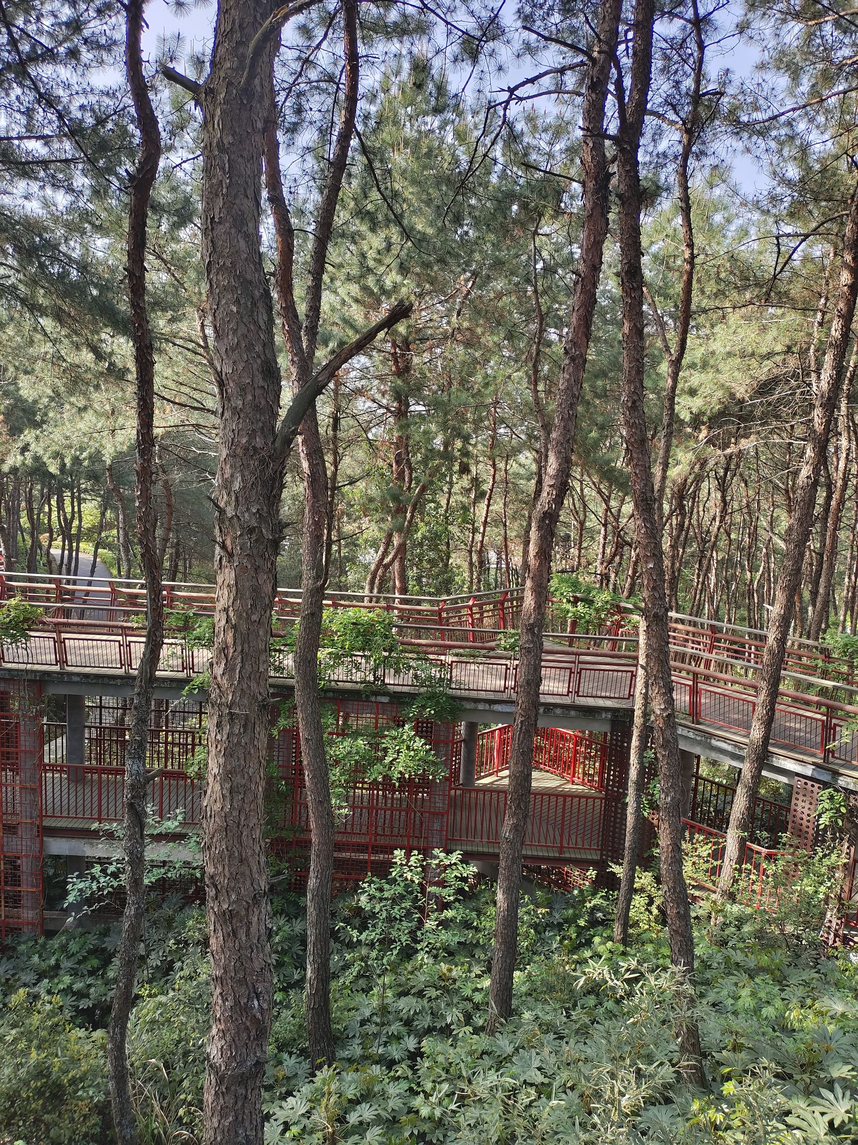 南山公园旅行图片 3