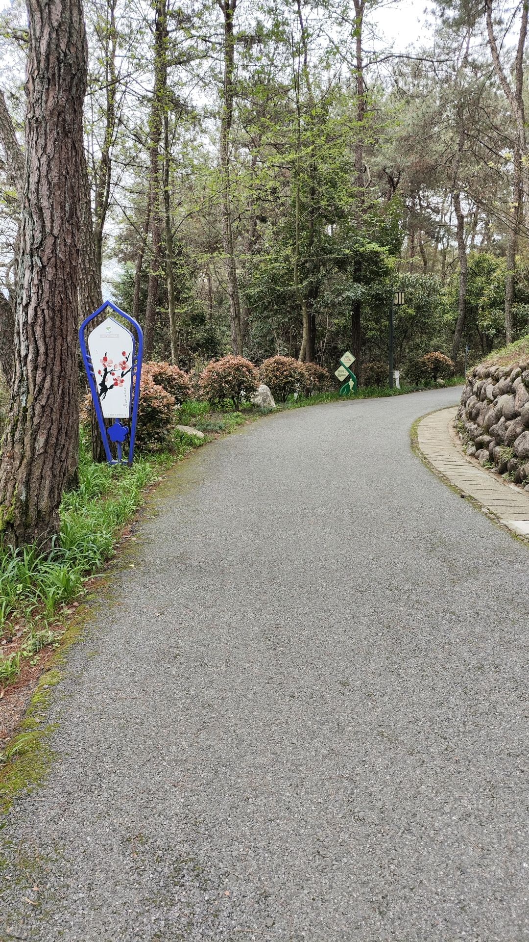 南山公园旅行图片 2