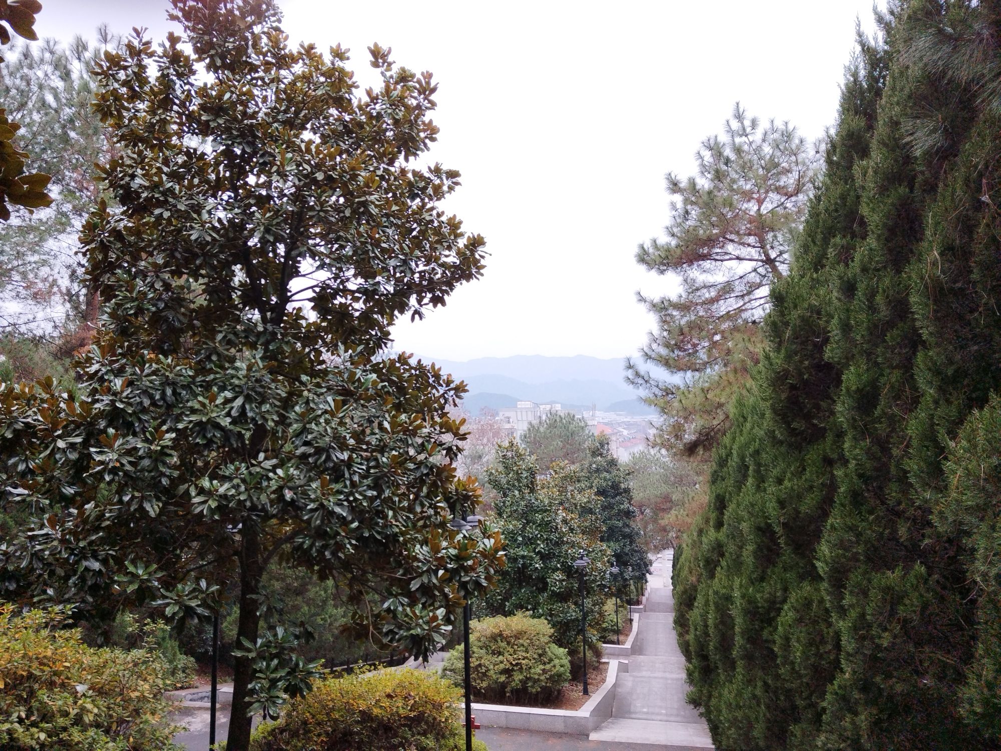 南山公园旅行图片 1