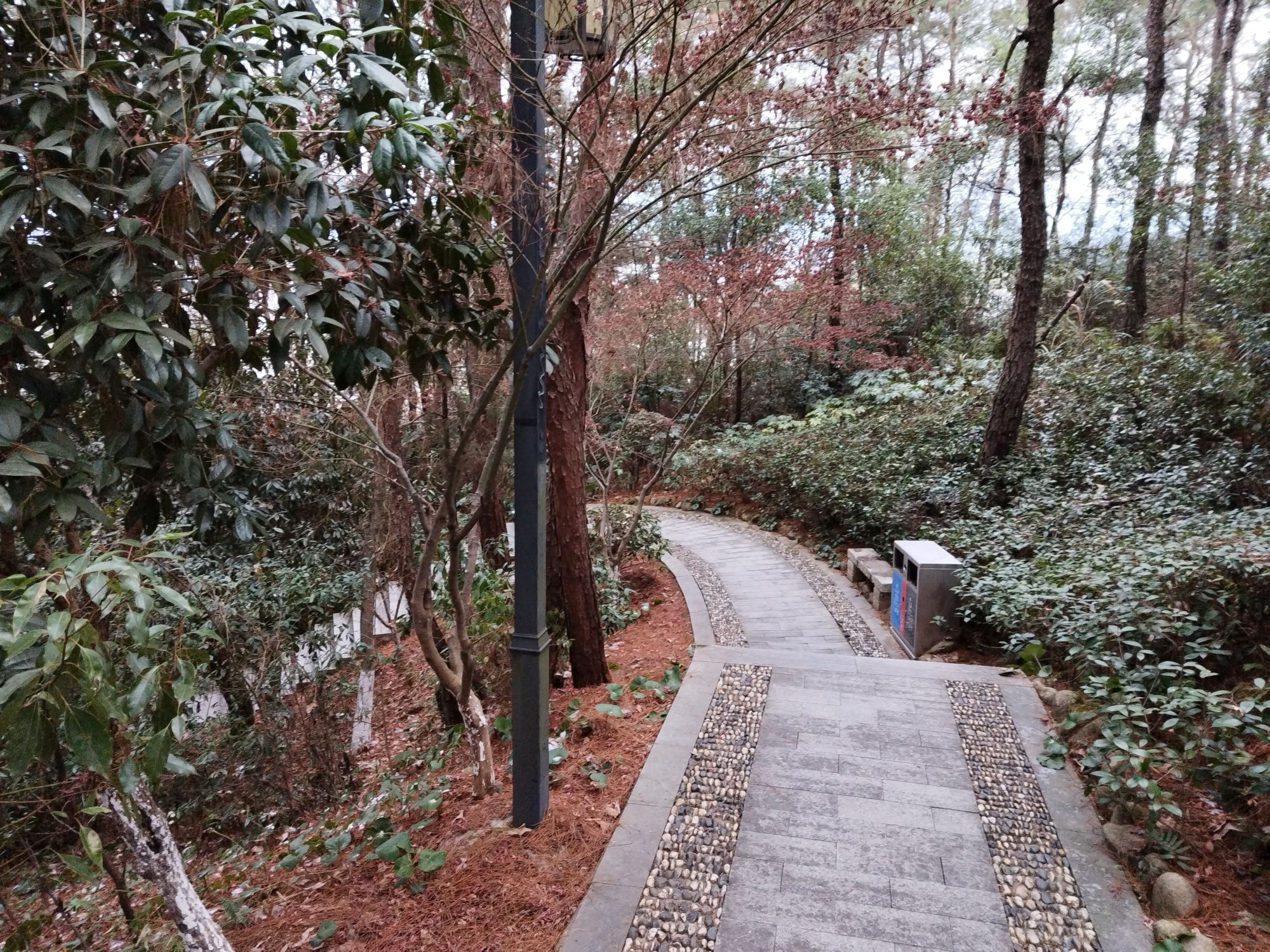 南山公园旅行图片 2