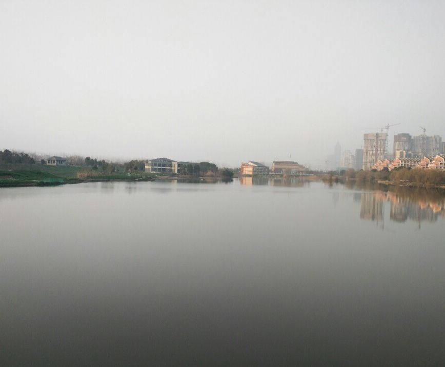 芦花荡湿地公园旅行图片 2