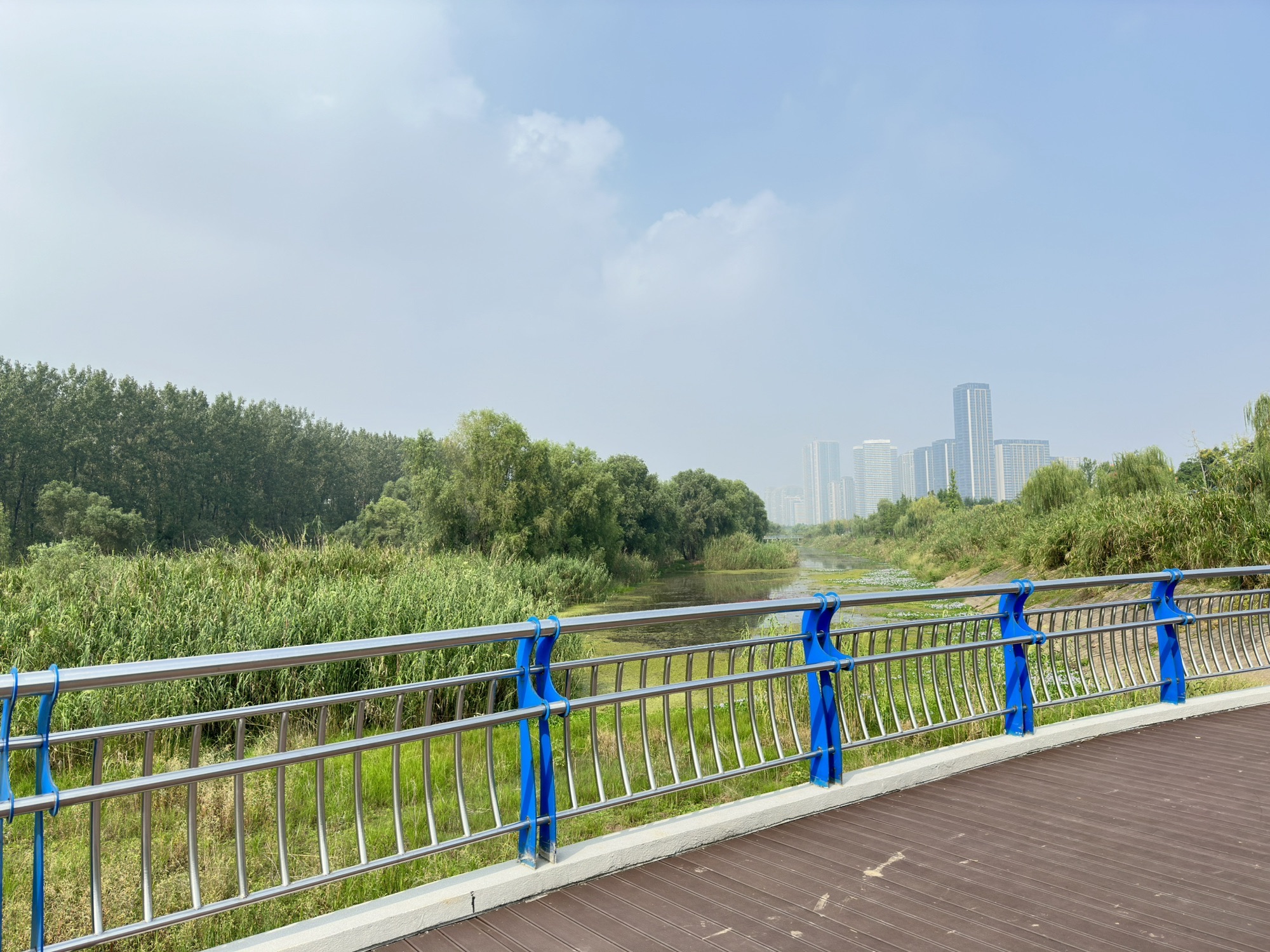 芦花荡湿地公园旅行图片 2