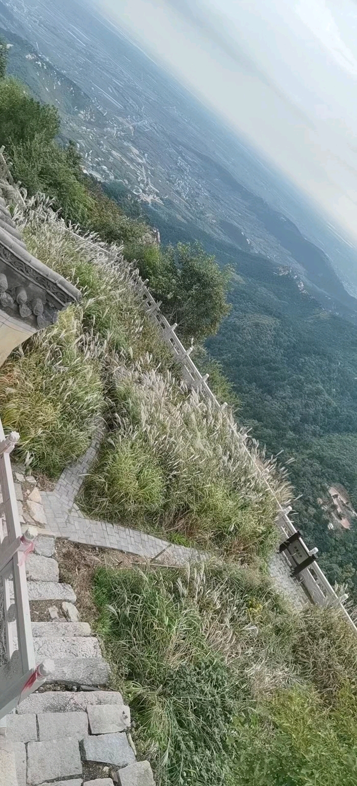 芦花荡湿地公园旅行图片 1