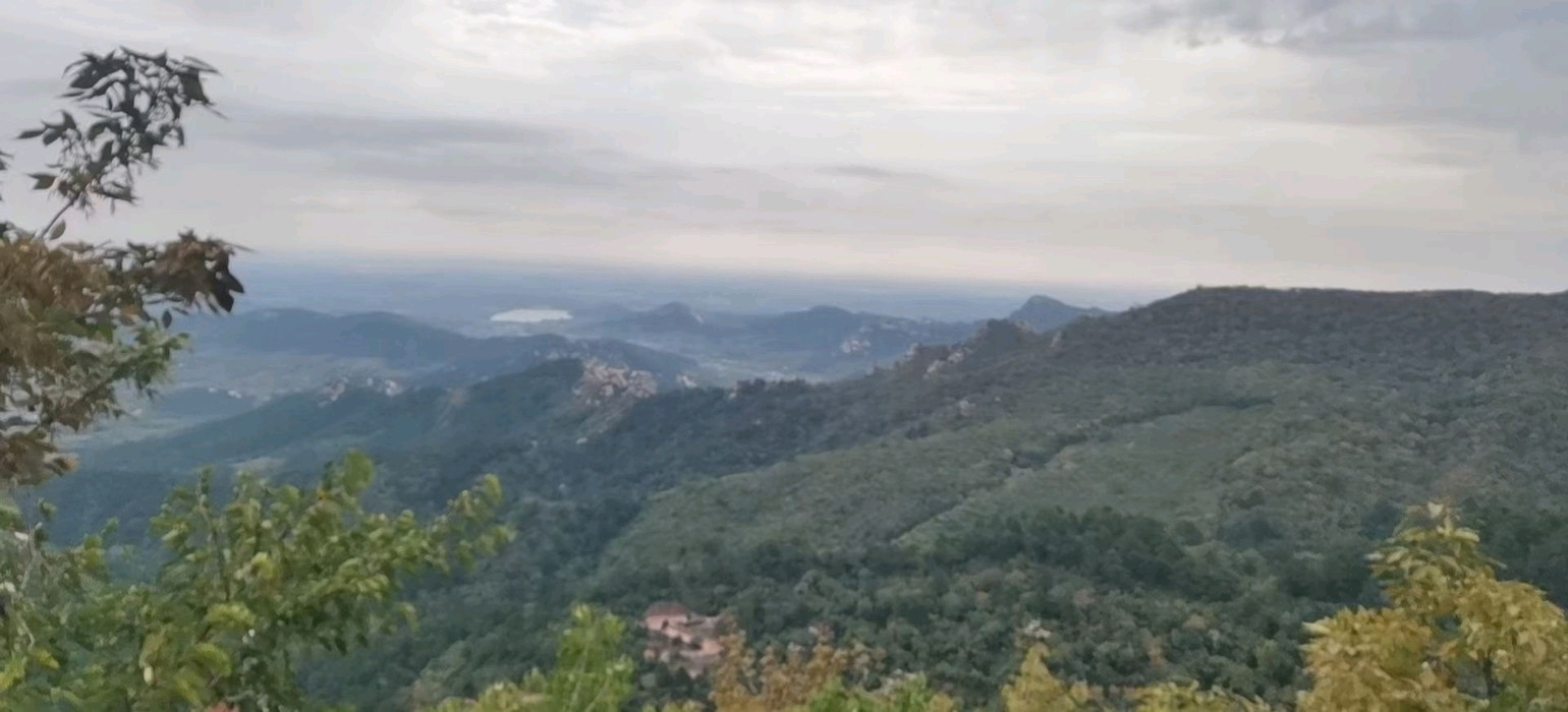 芦花荡湿地公园旅行图片 2