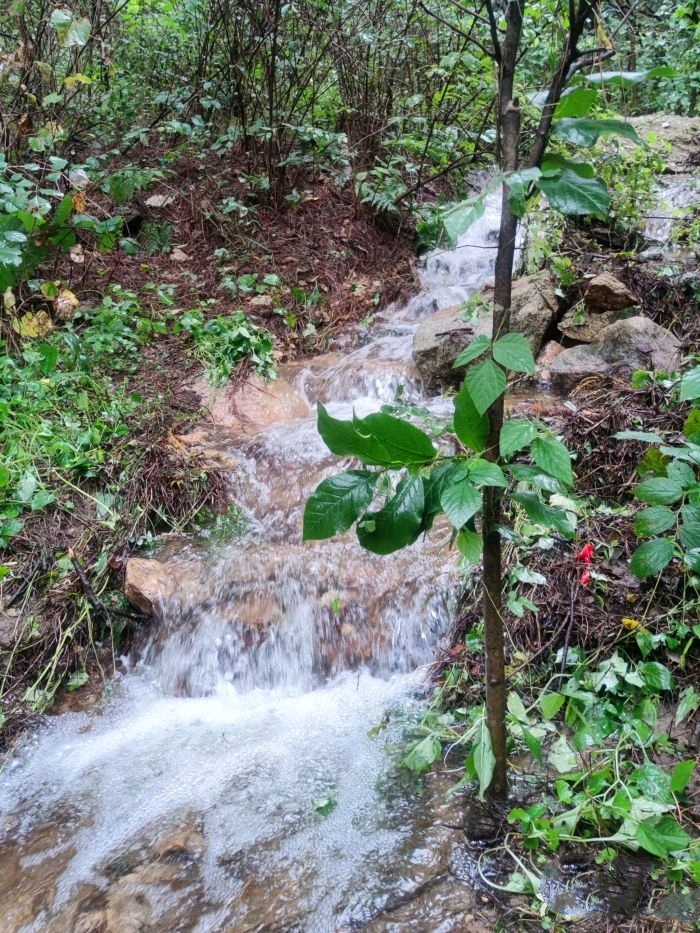 芦花荡湿地公园旅行图片 3