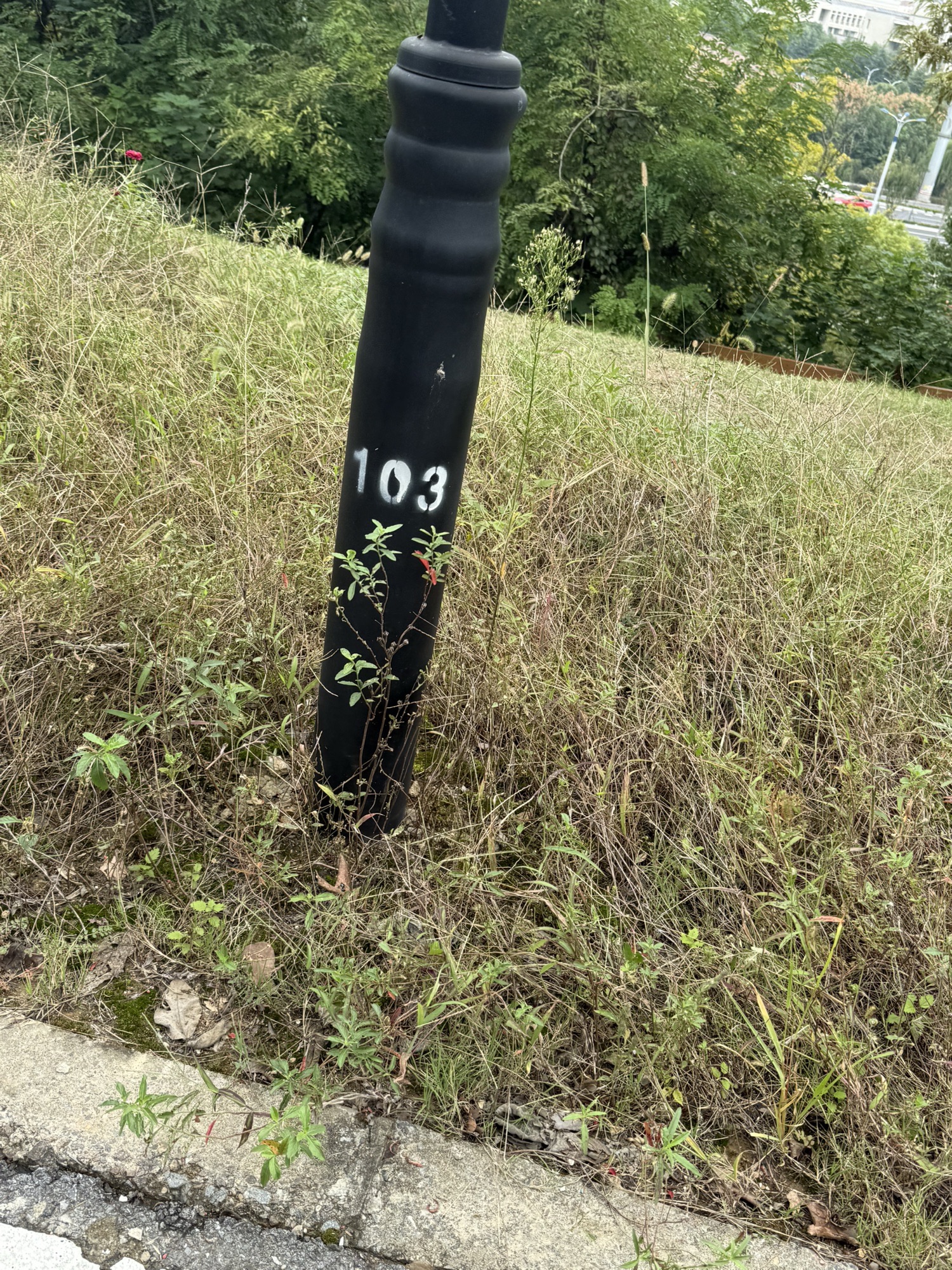 霍里山公园旅行图片 2