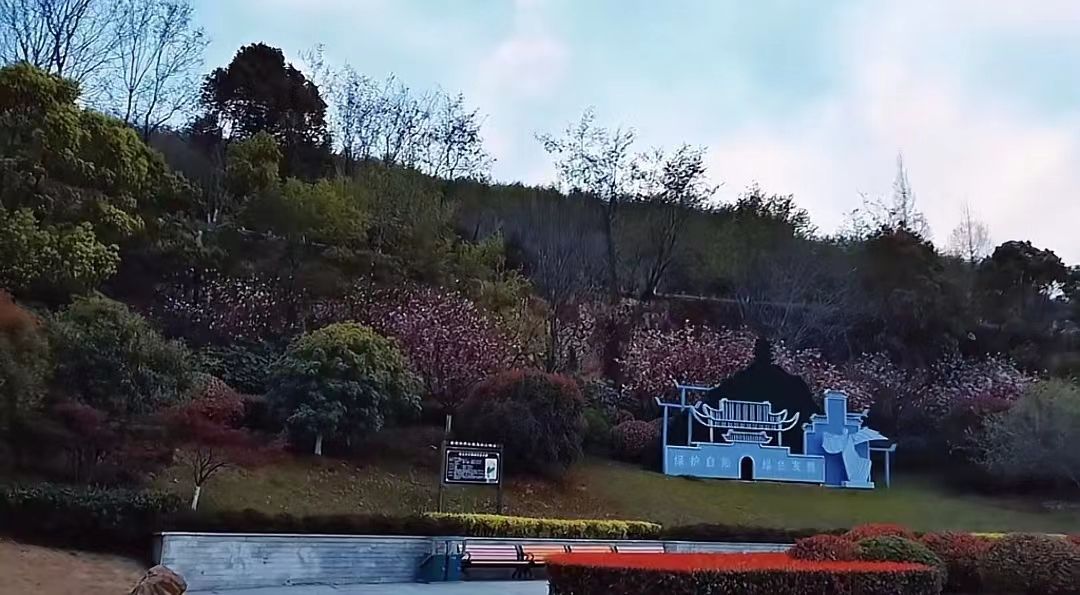 霍里山公园旅行图片 2