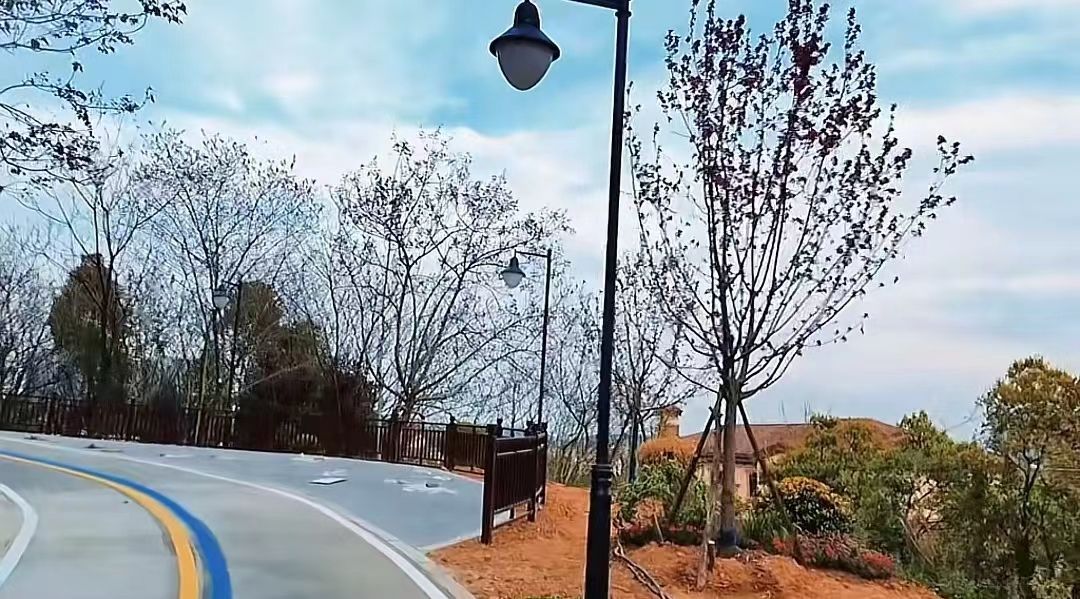 霍里山公园旅行图片 3