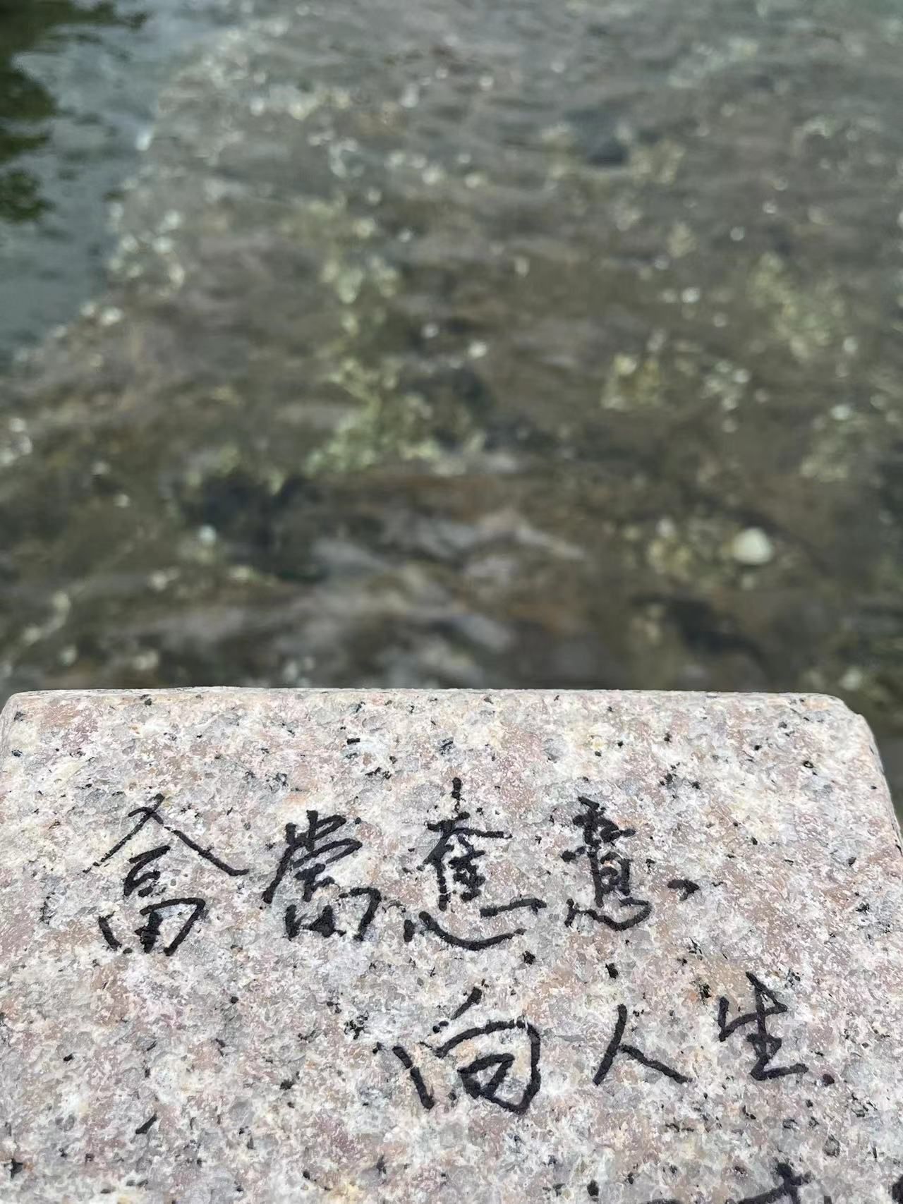 月亮老人旅行图片 2
