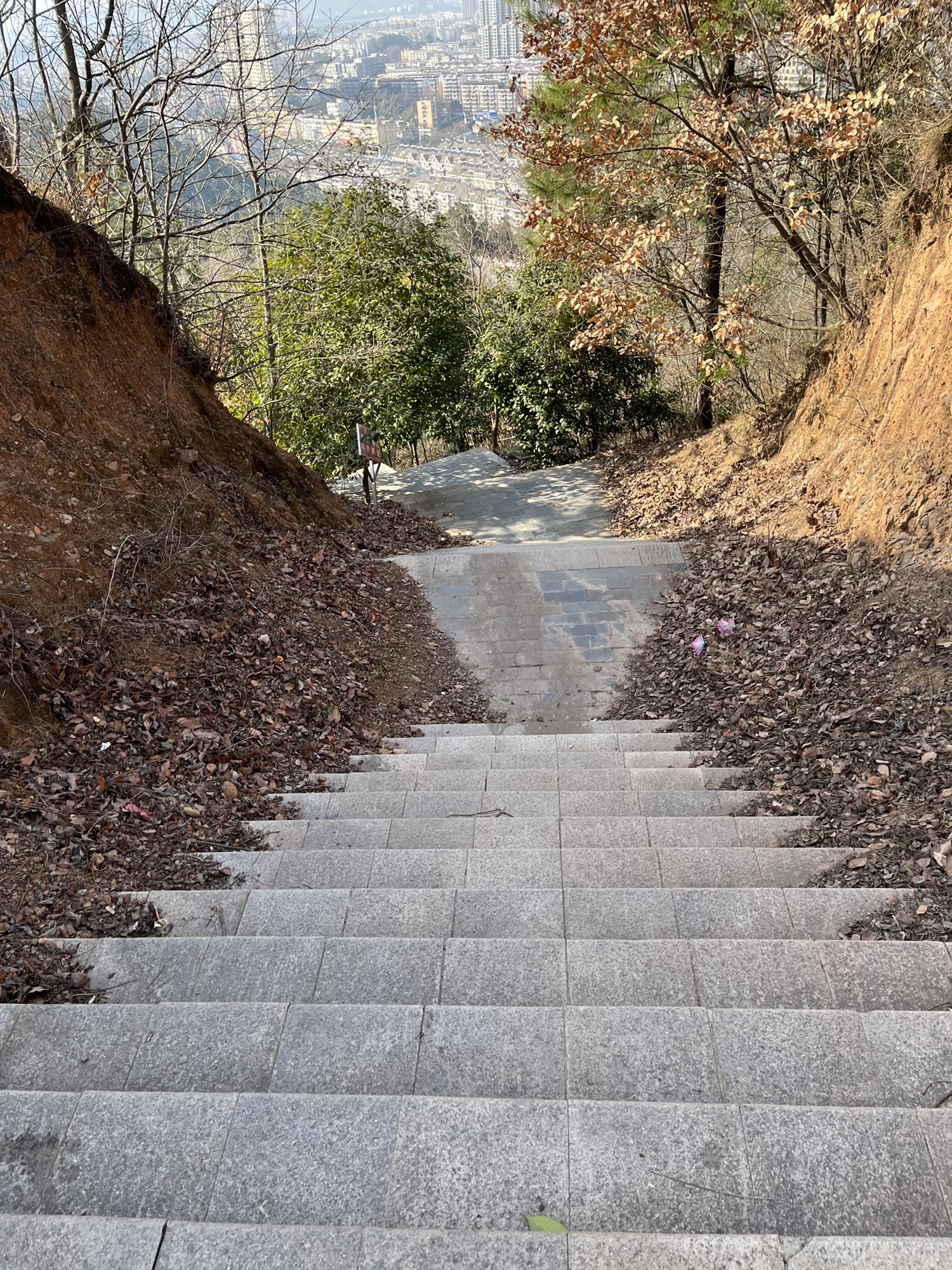 旗山汉武文化生态园旅行图片 2