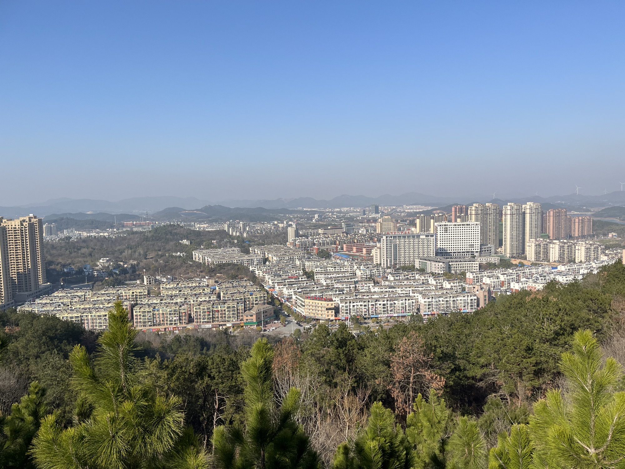 旗山汉武文化生态园旅行图片 1