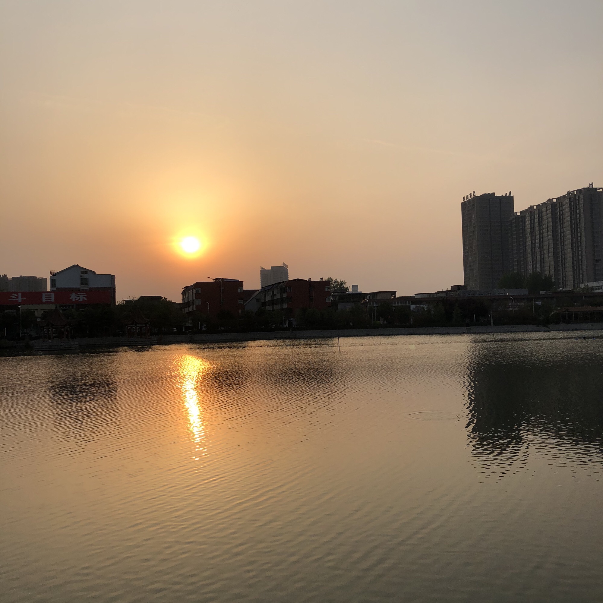 顺城关公园旅行图片 3