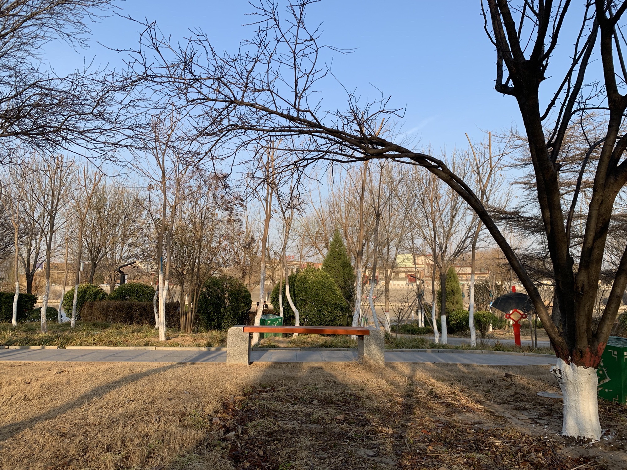 顺城关公园旅行图片 1