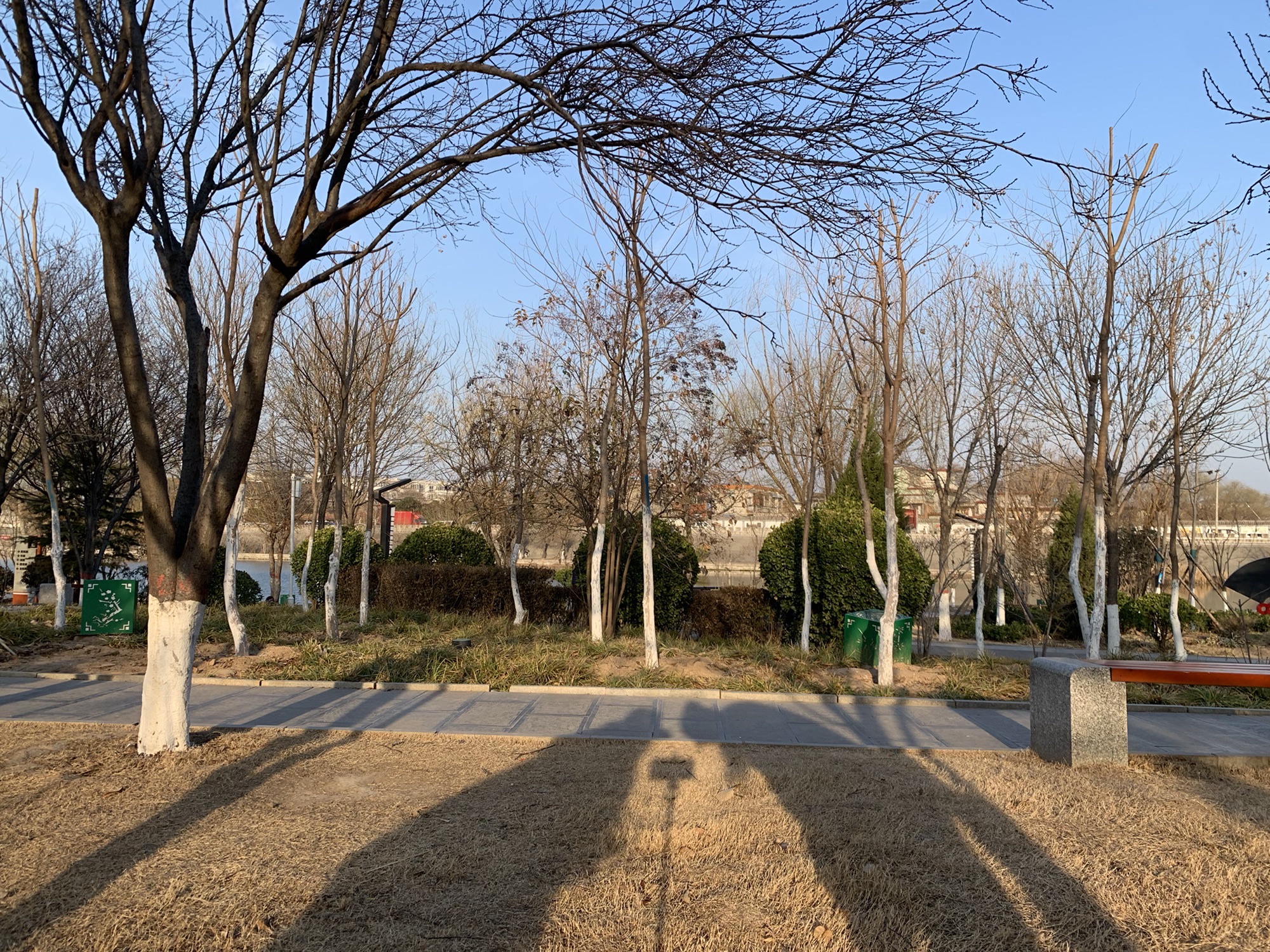 顺城关公园旅行图片 3