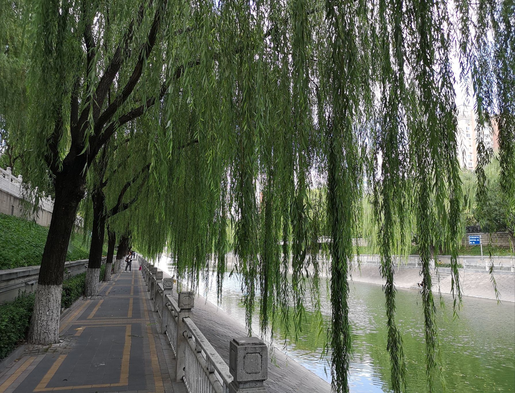 北京营城建都滨水绿道旅行图片 1