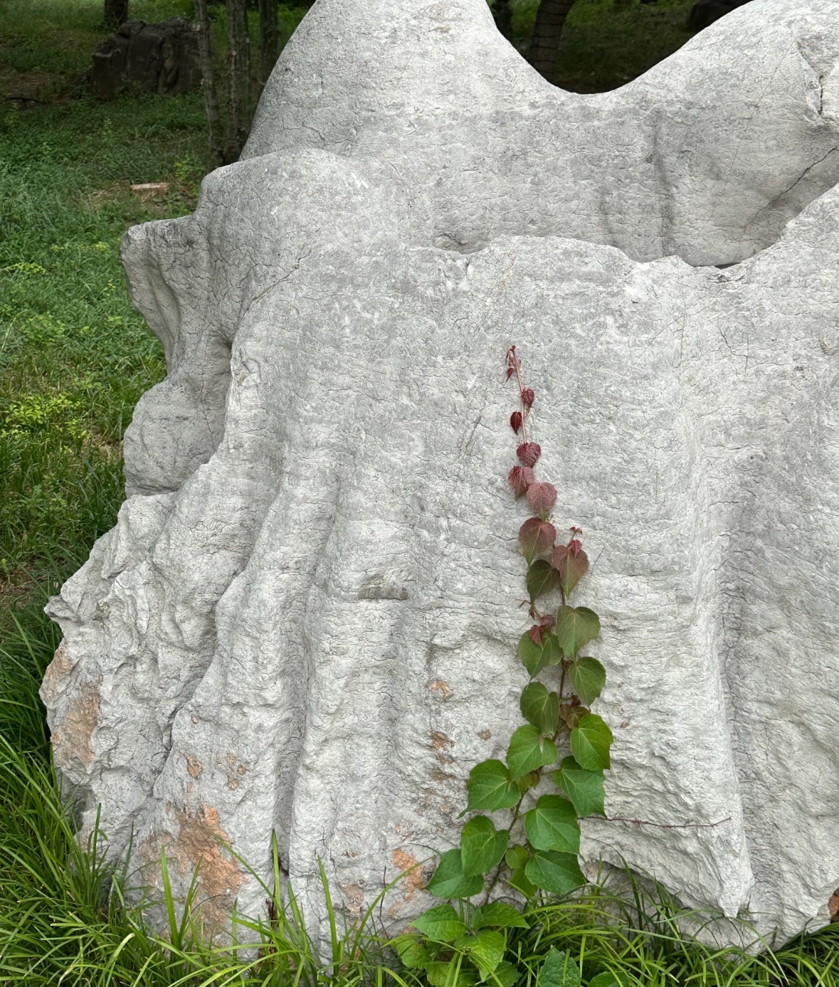 青州古城旅行图片 3