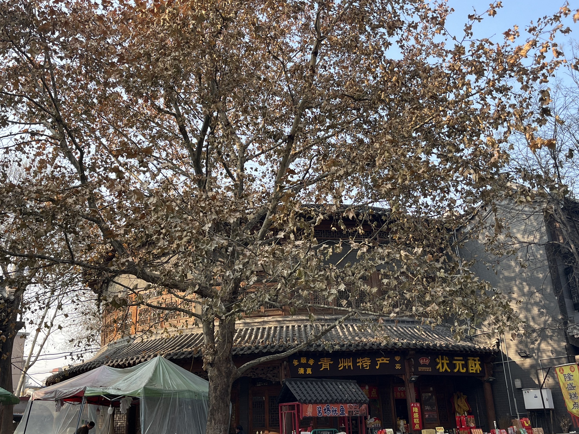 青州古城旅行图片 1