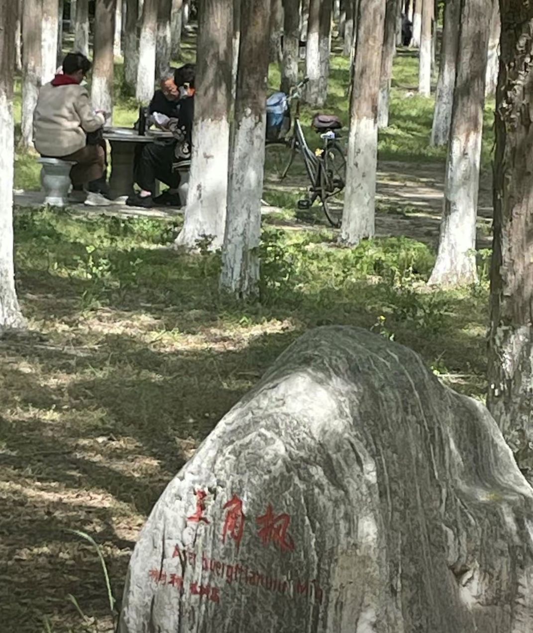 铁军广场旅行图片 3
