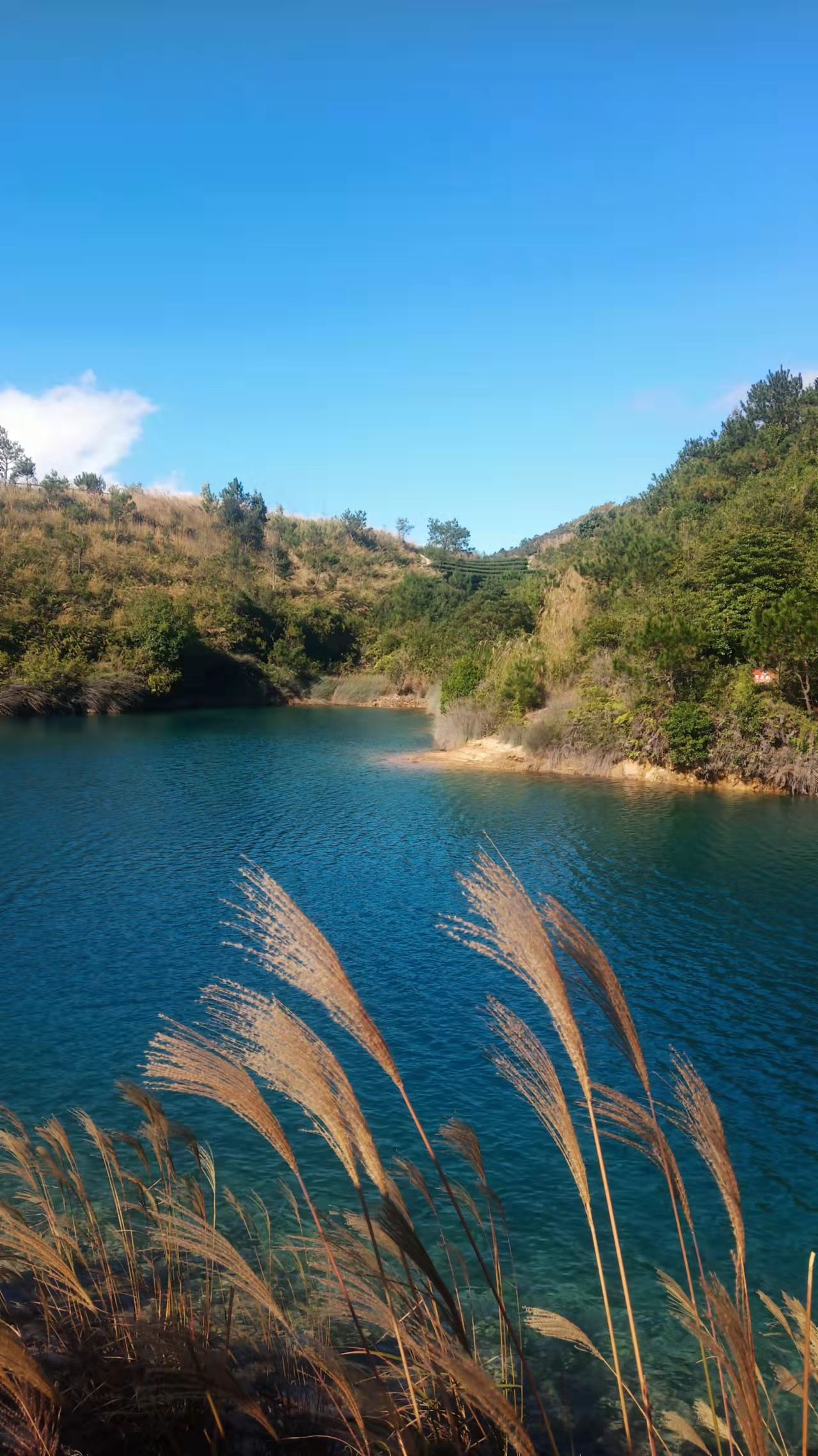 军营村旅行图片 1
