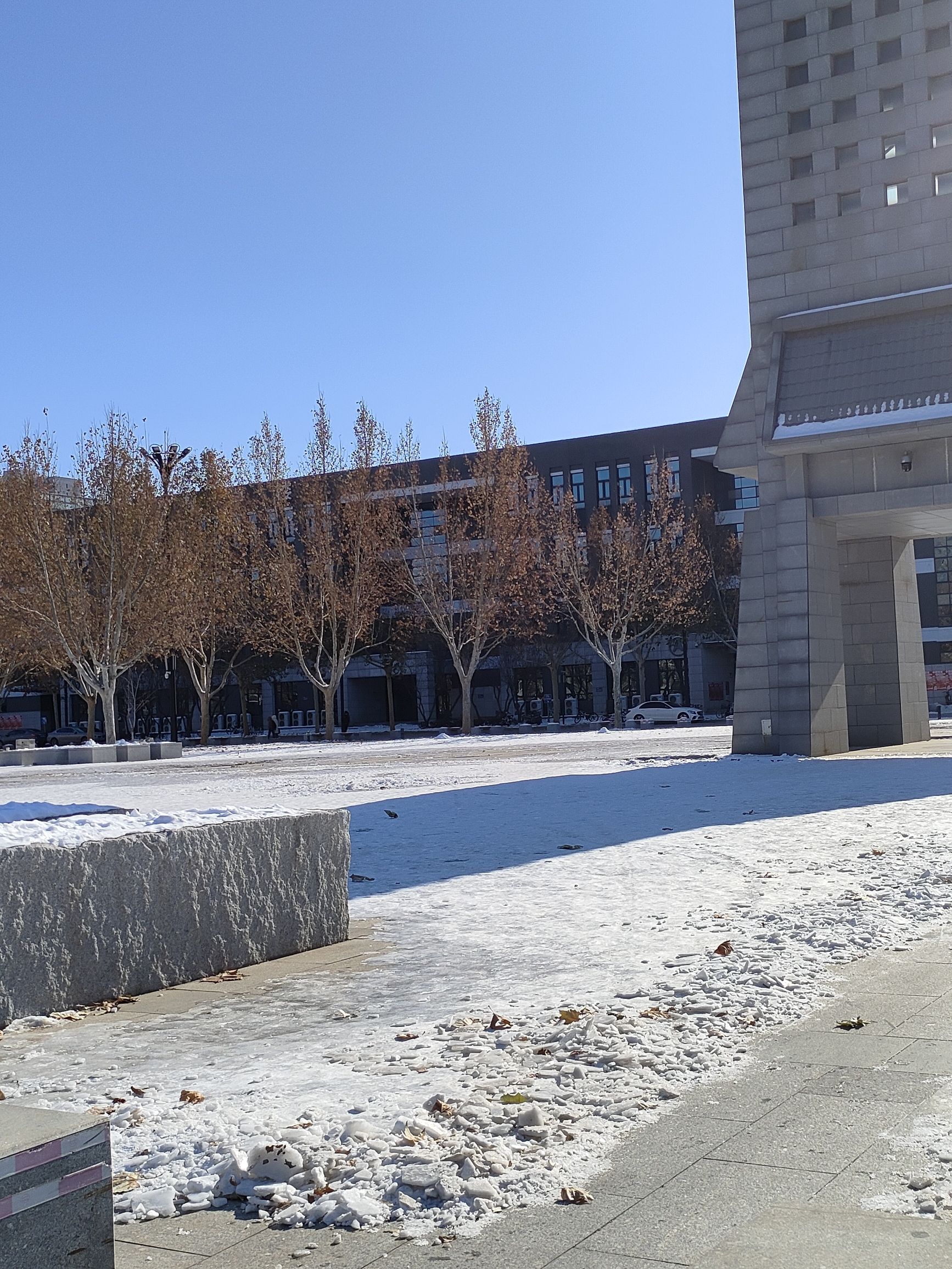 河北师范大学新校区-四方广场旅行图片 1
