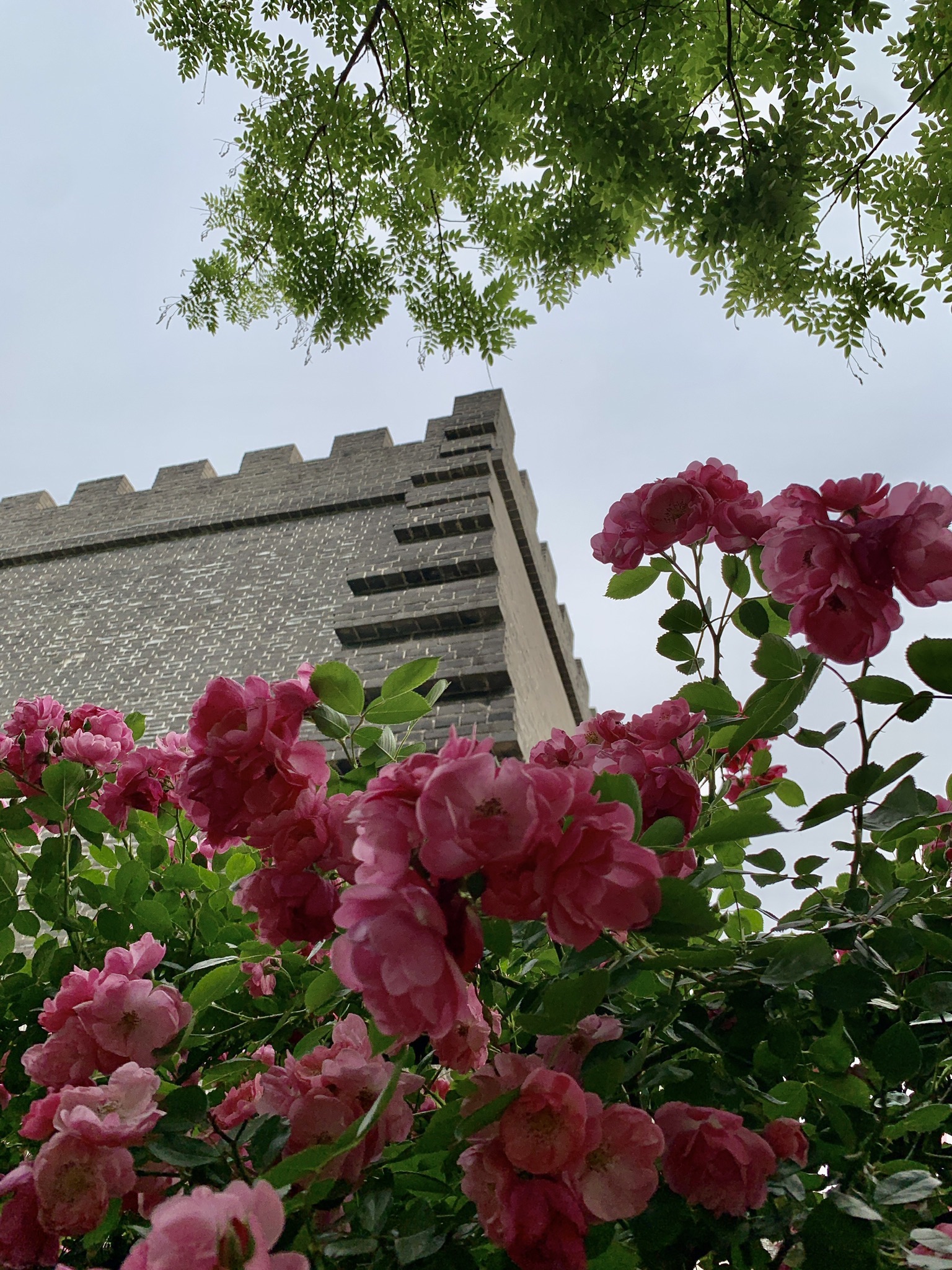 人民公园旅行图片 3