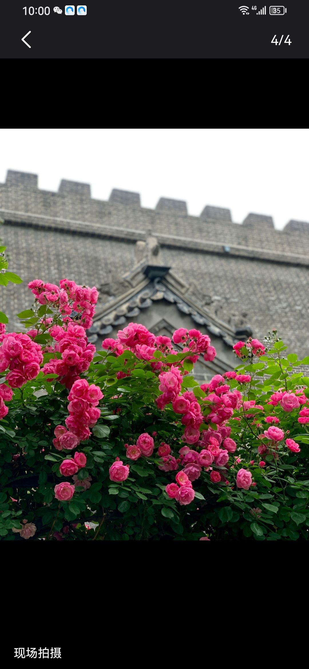 人民公园旅行图片 1