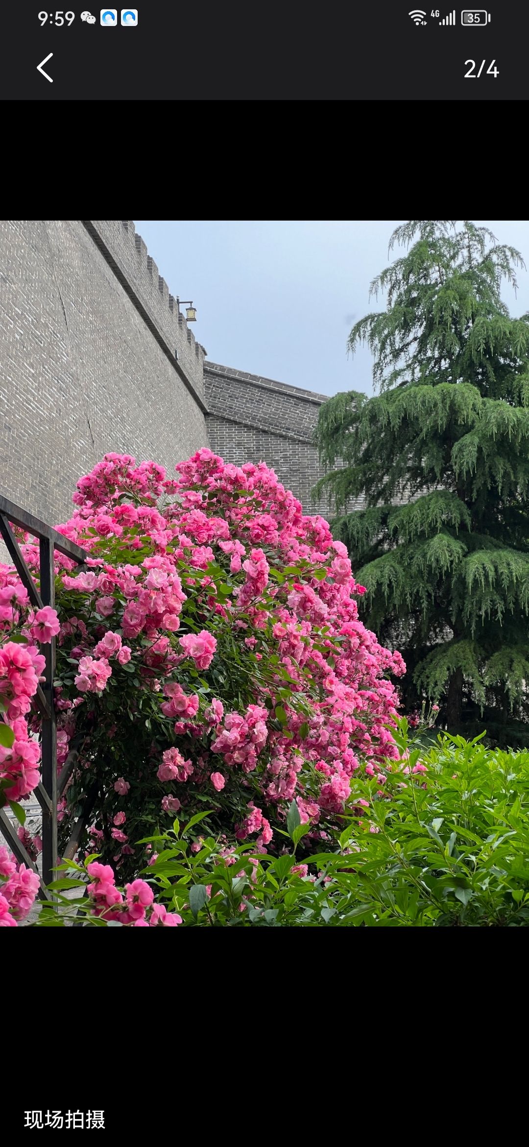 人民公园旅行图片 3
