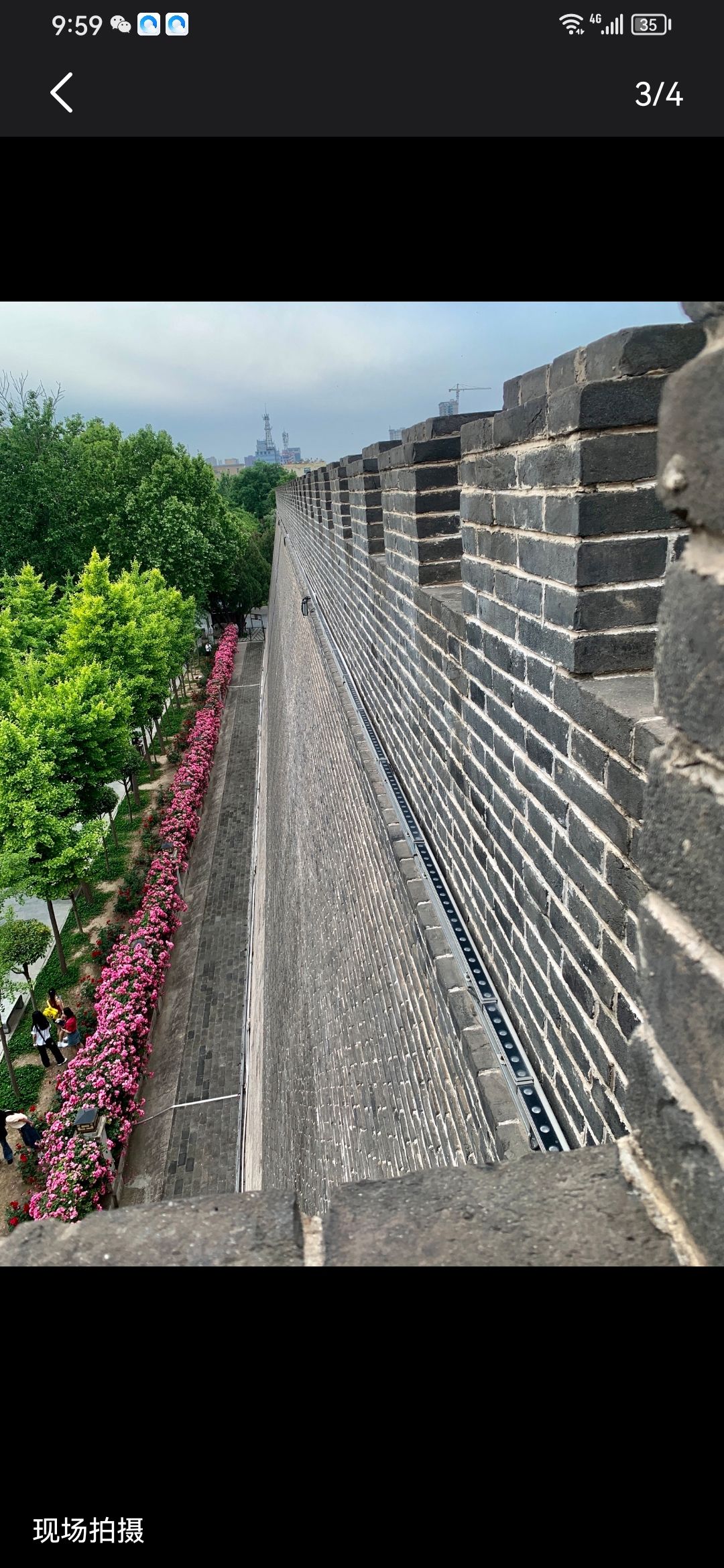 人民公园旅行图片 2