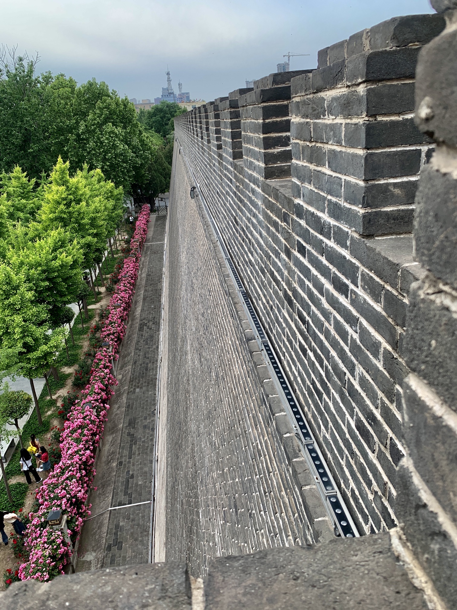 人民公园旅行图片 3