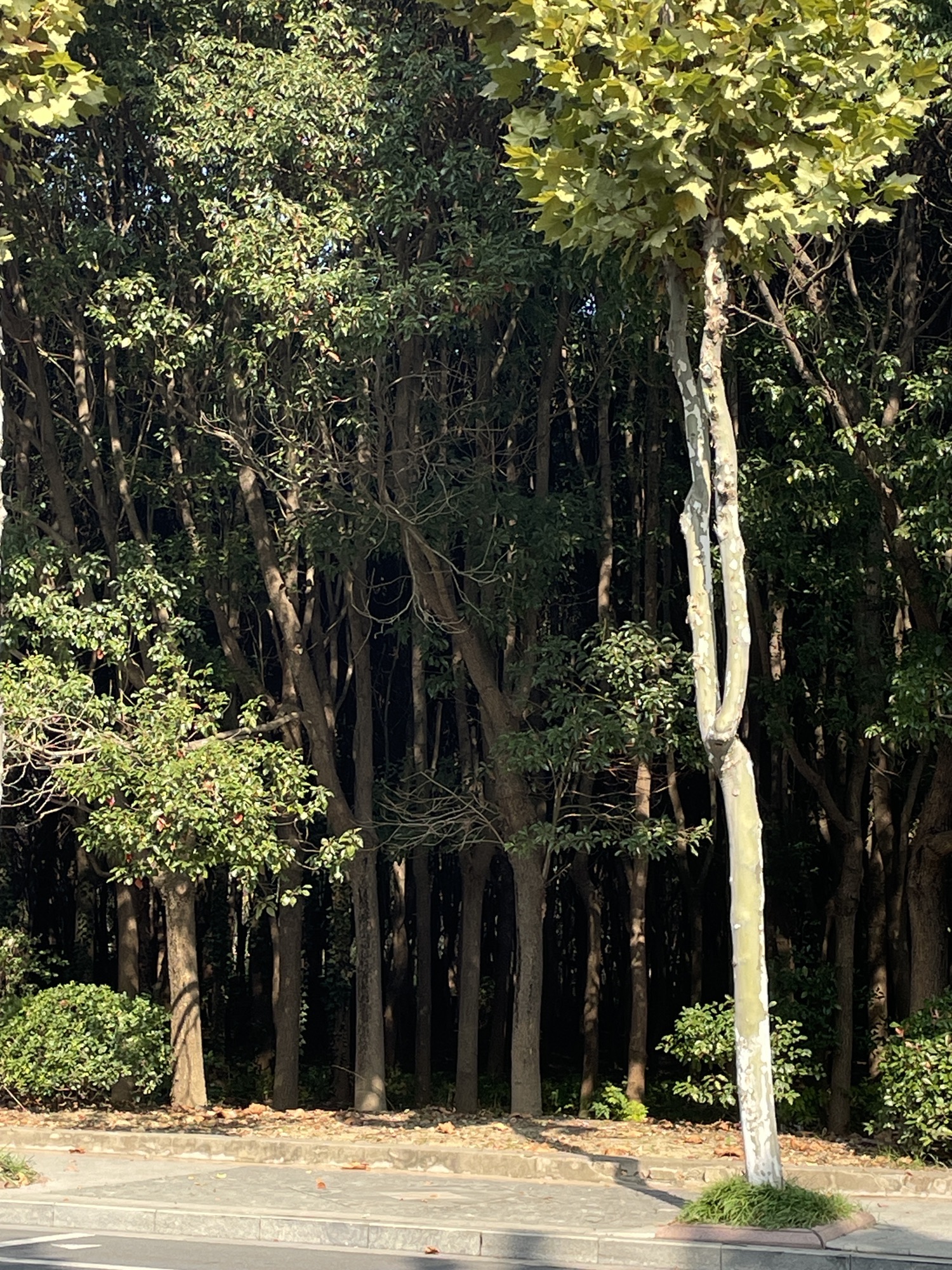 汤山溶洞旅行图片 3