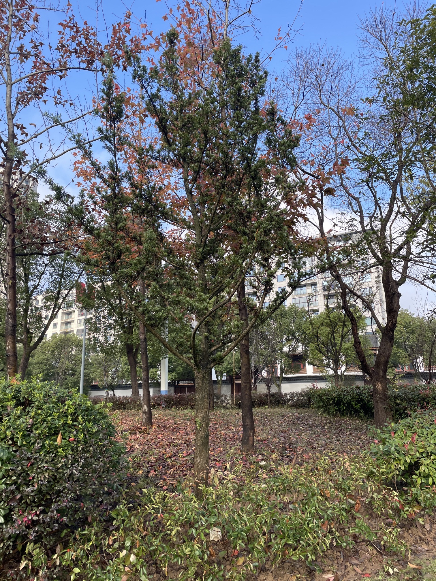 湖边古村落旅行图片 3