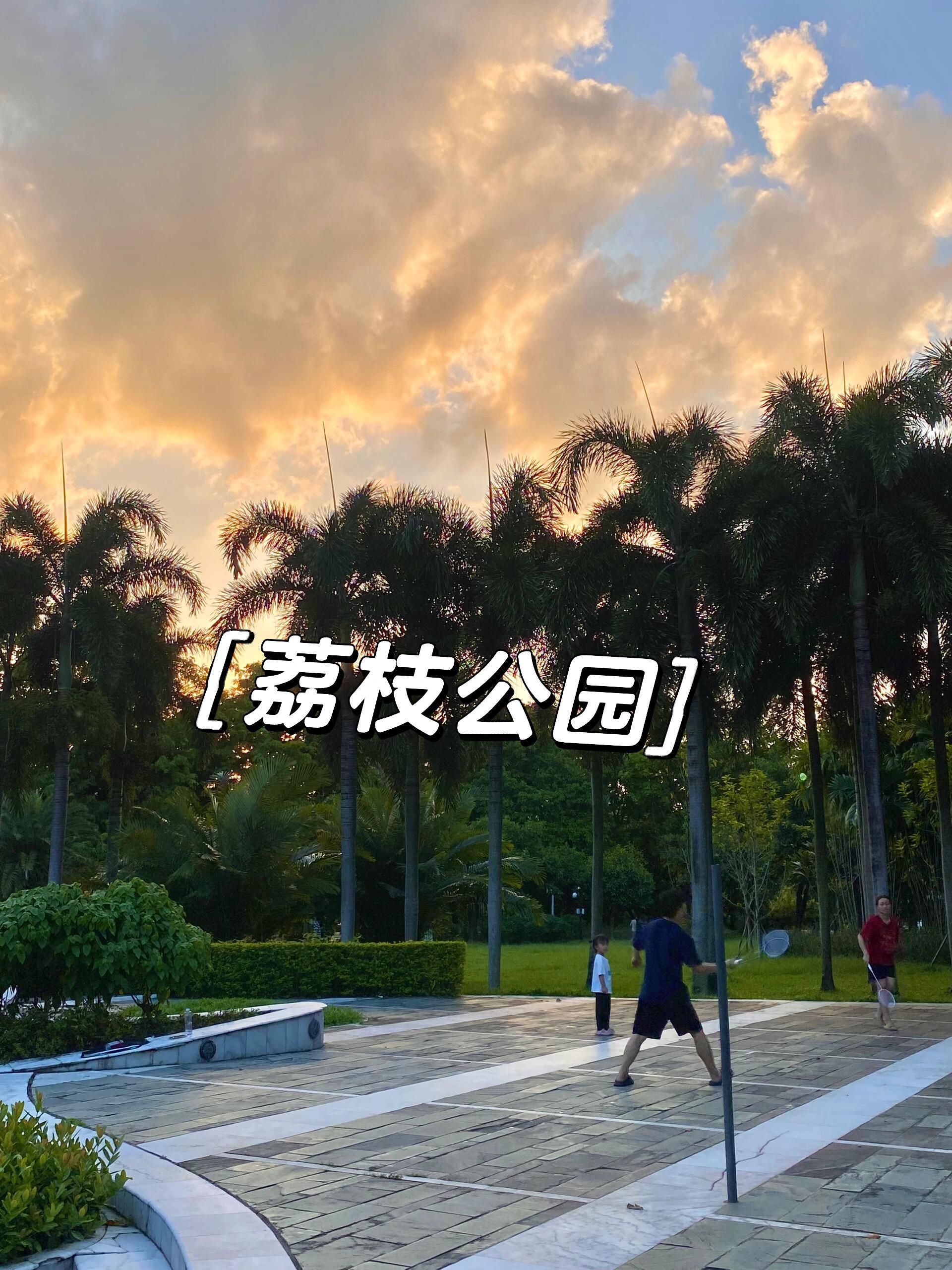 上寮荔枝公园旅行图片 1