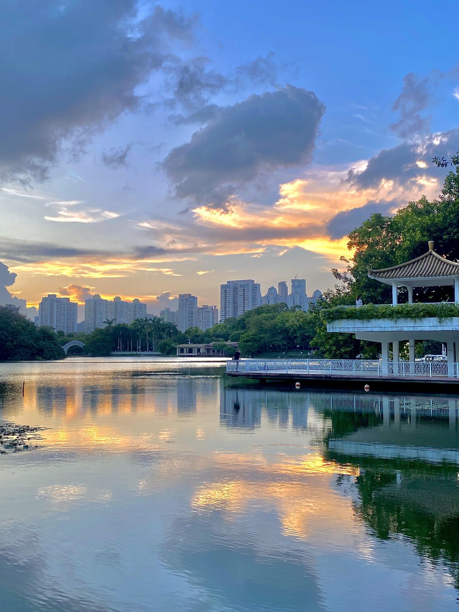 上寮荔枝公园旅行图片 3