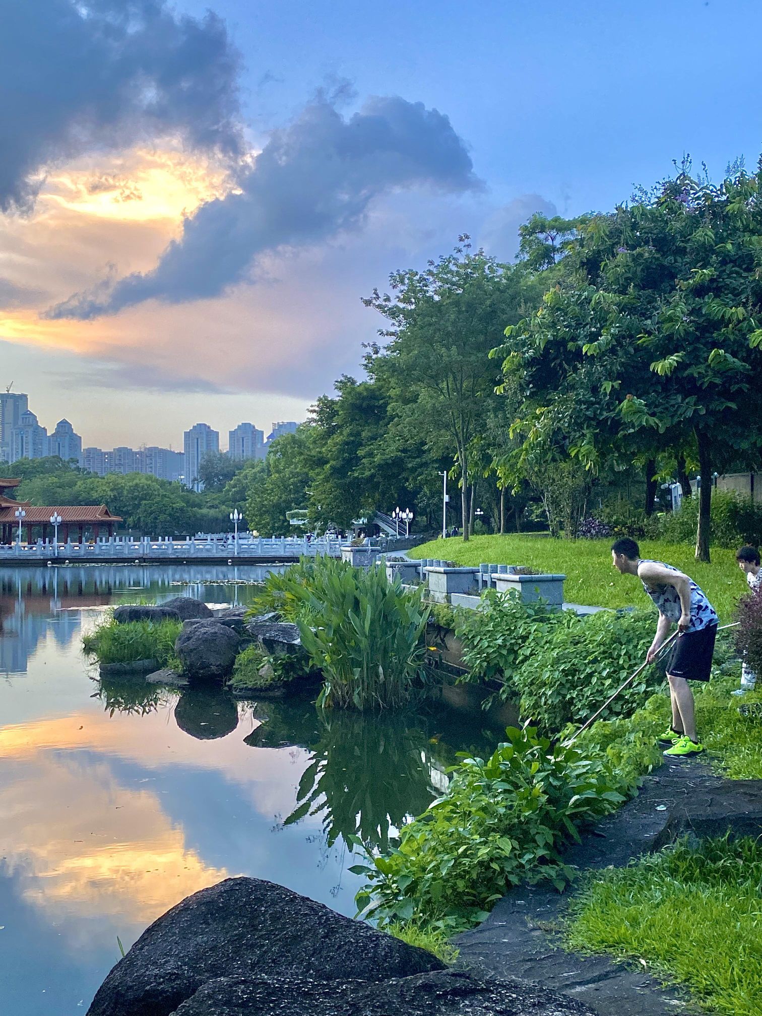 上寮荔枝公园旅行图片 2