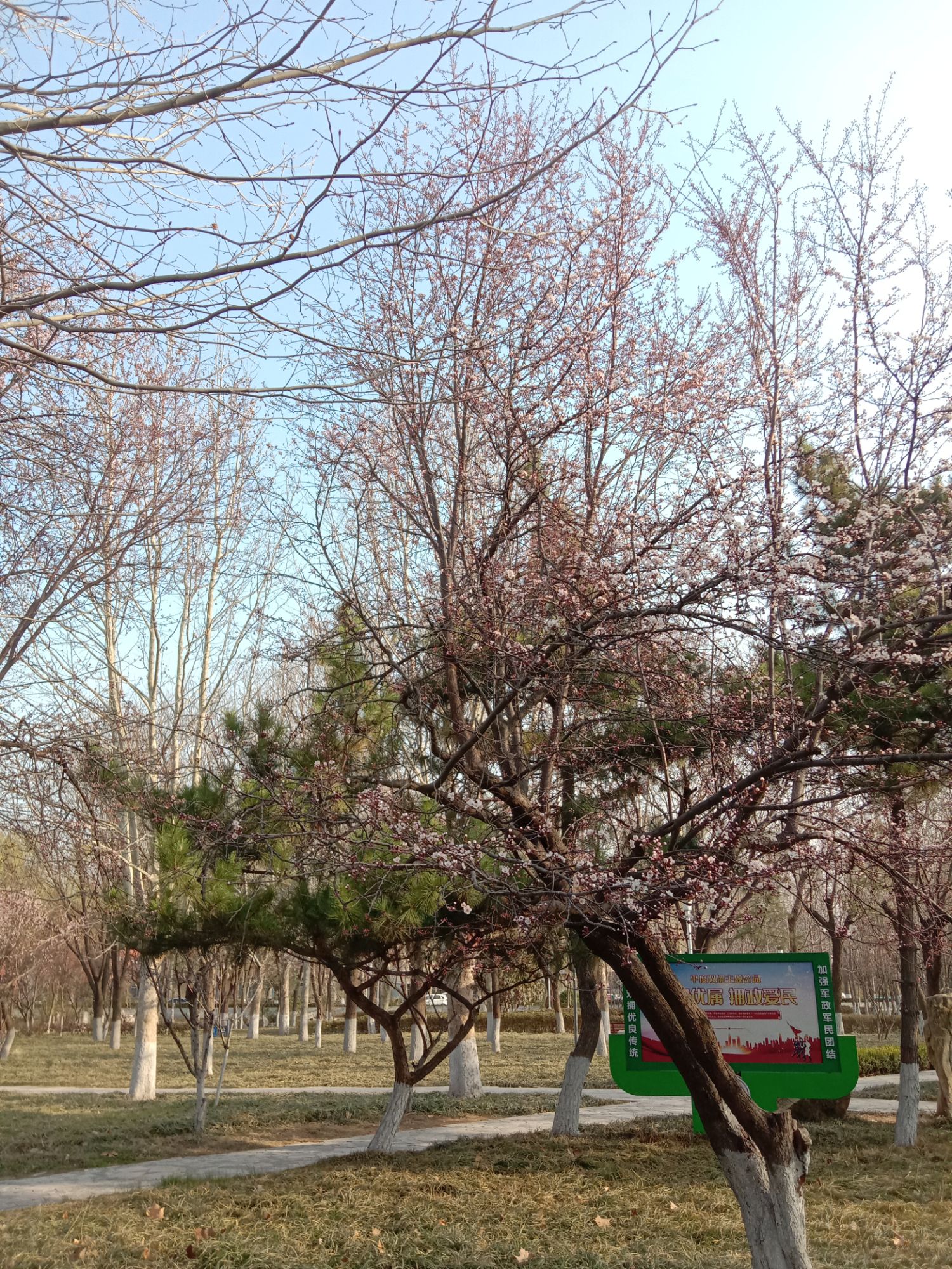 平度市植物园旅行图片 1