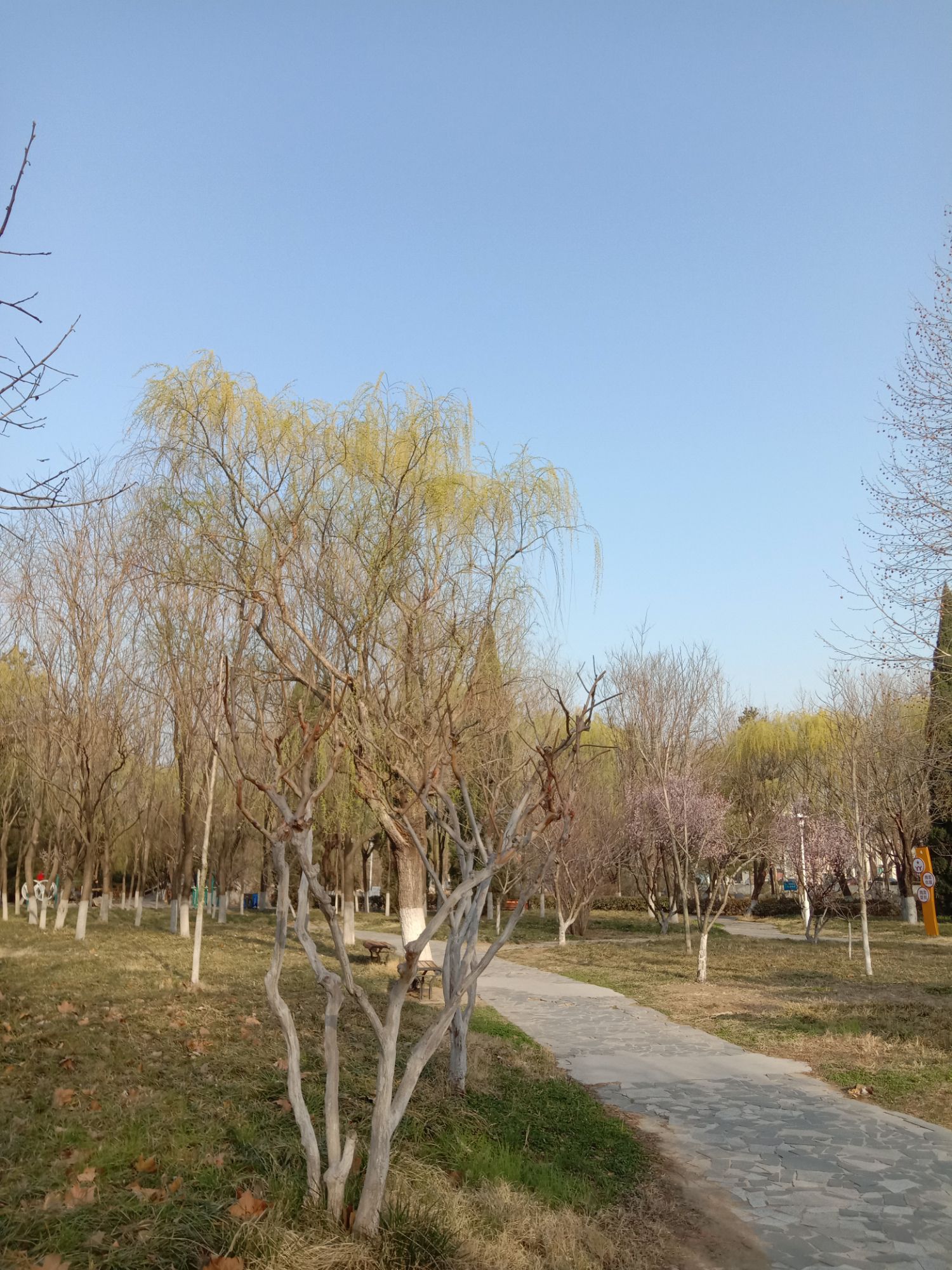 平度市植物园旅行图片 3