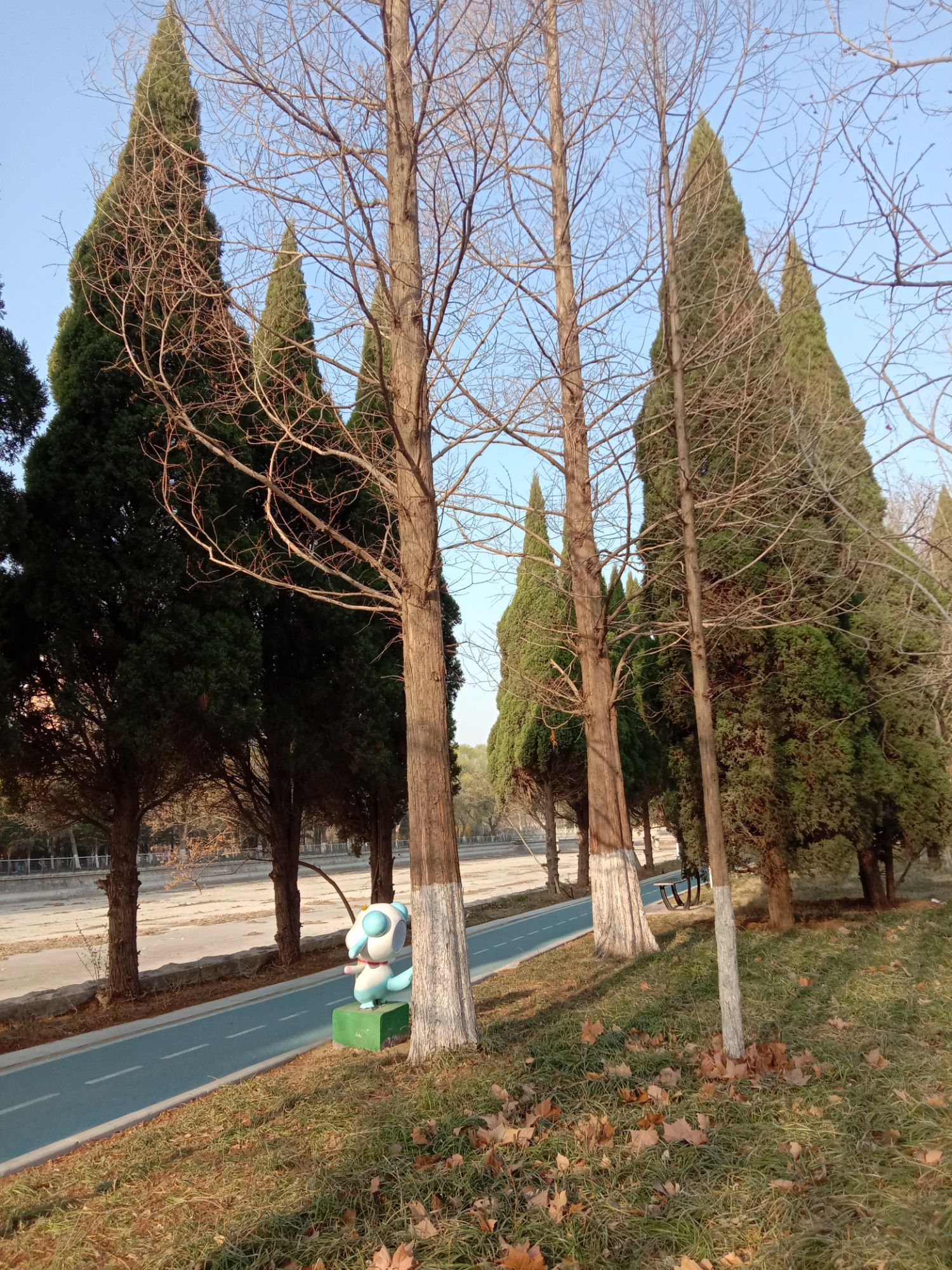 平度市植物园旅行图片 2