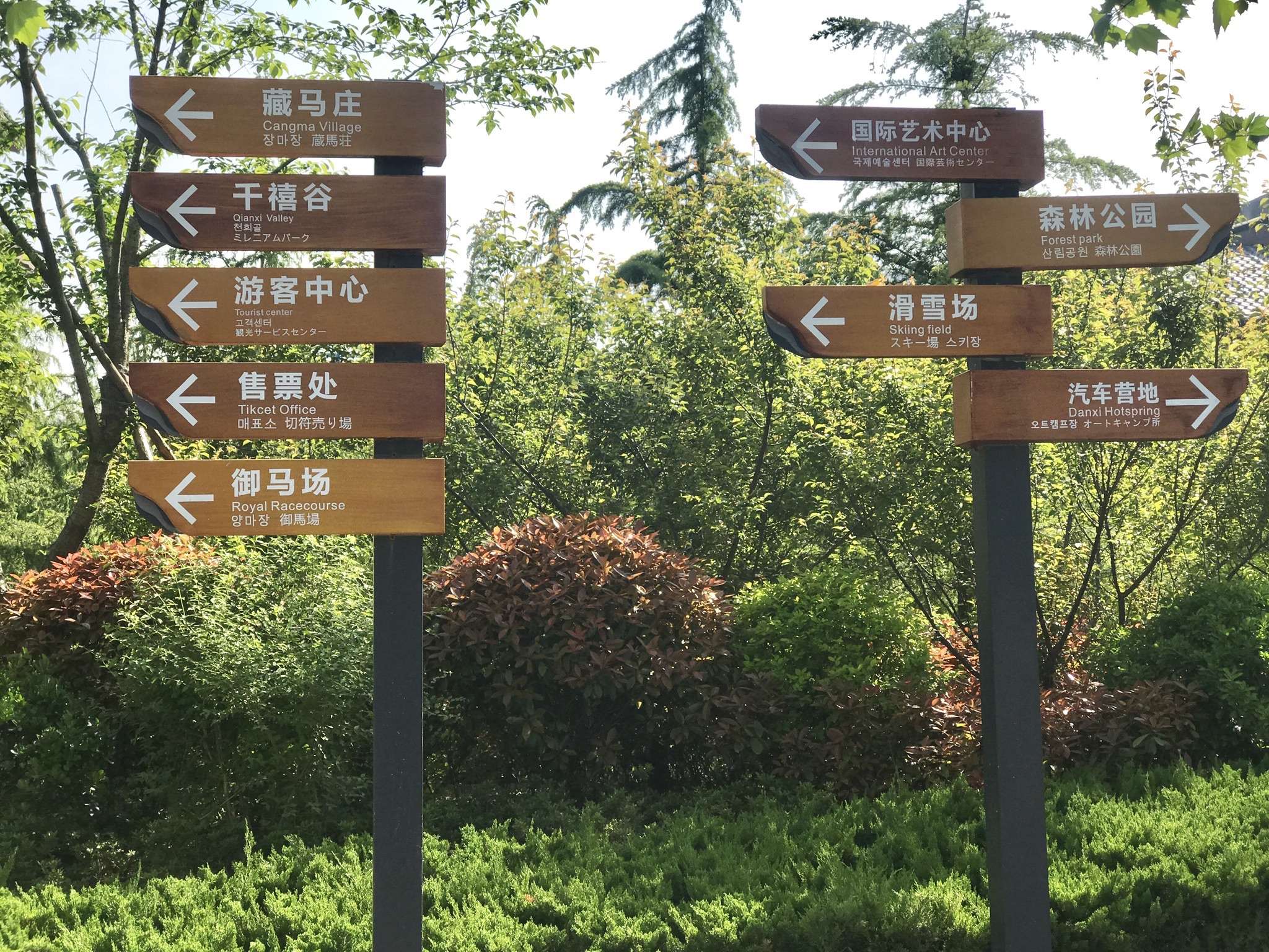 藏马山国际旅游度假区旅行图片 3