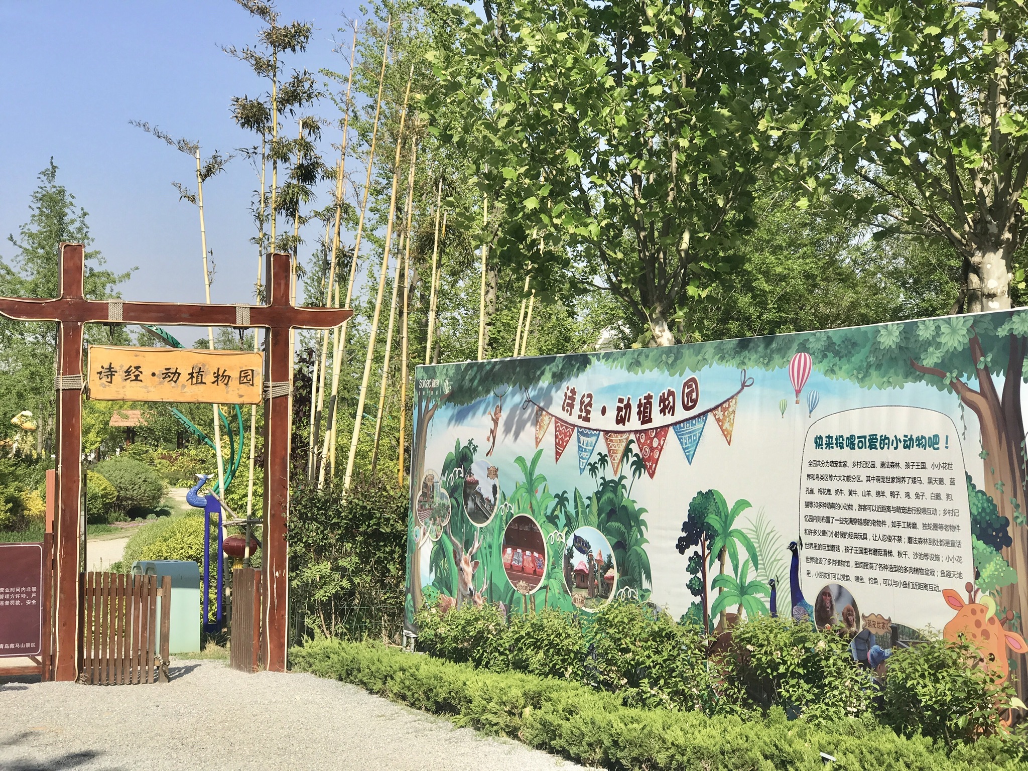 藏马山国际旅游度假区旅行图片 2