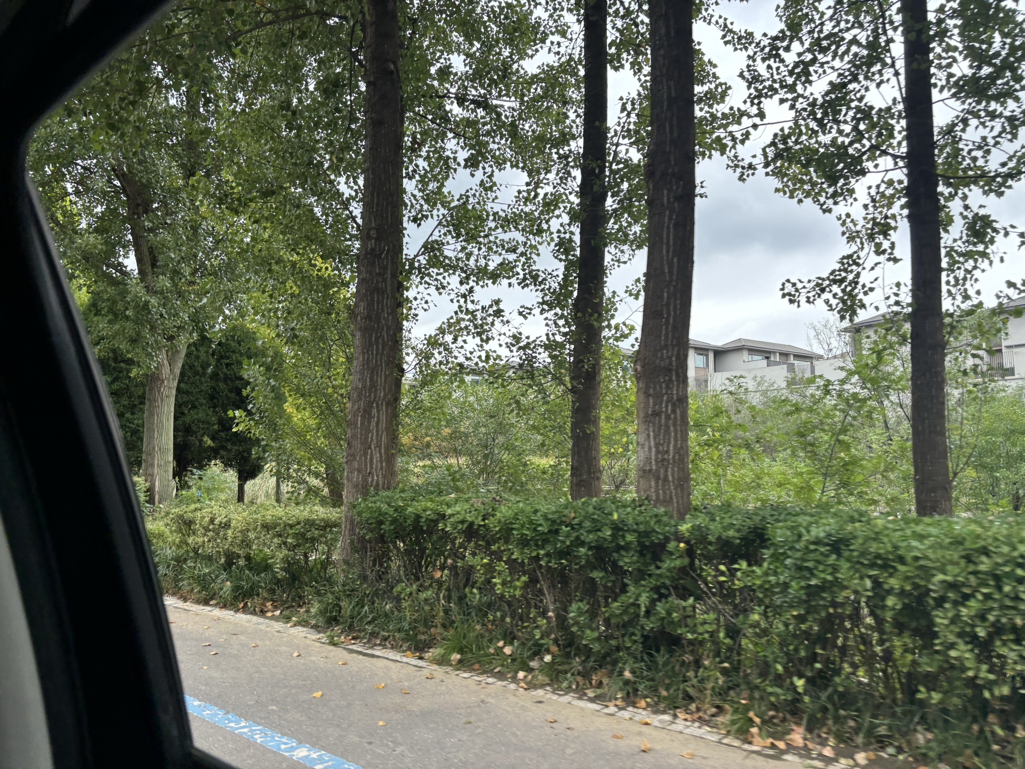 藏马山国际旅游度假区旅行图片 2