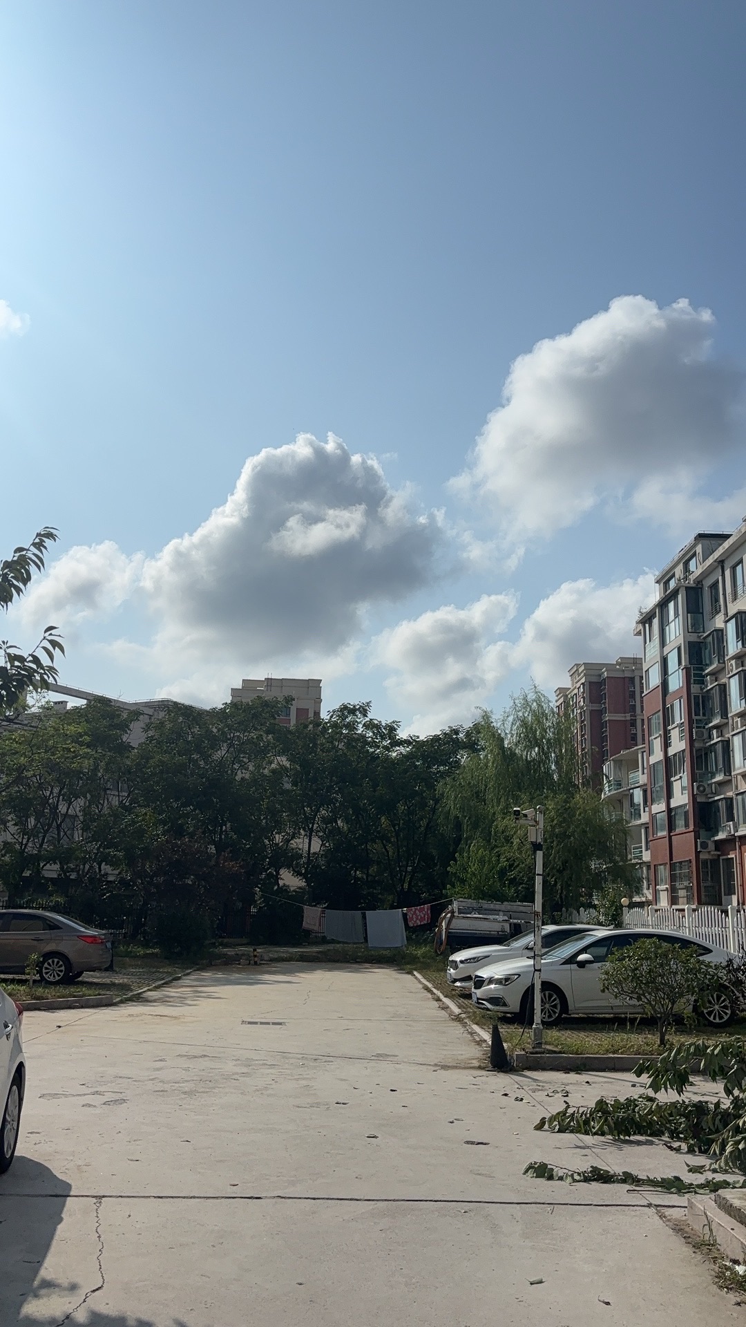 藏马山国际旅游度假区旅行图片 3