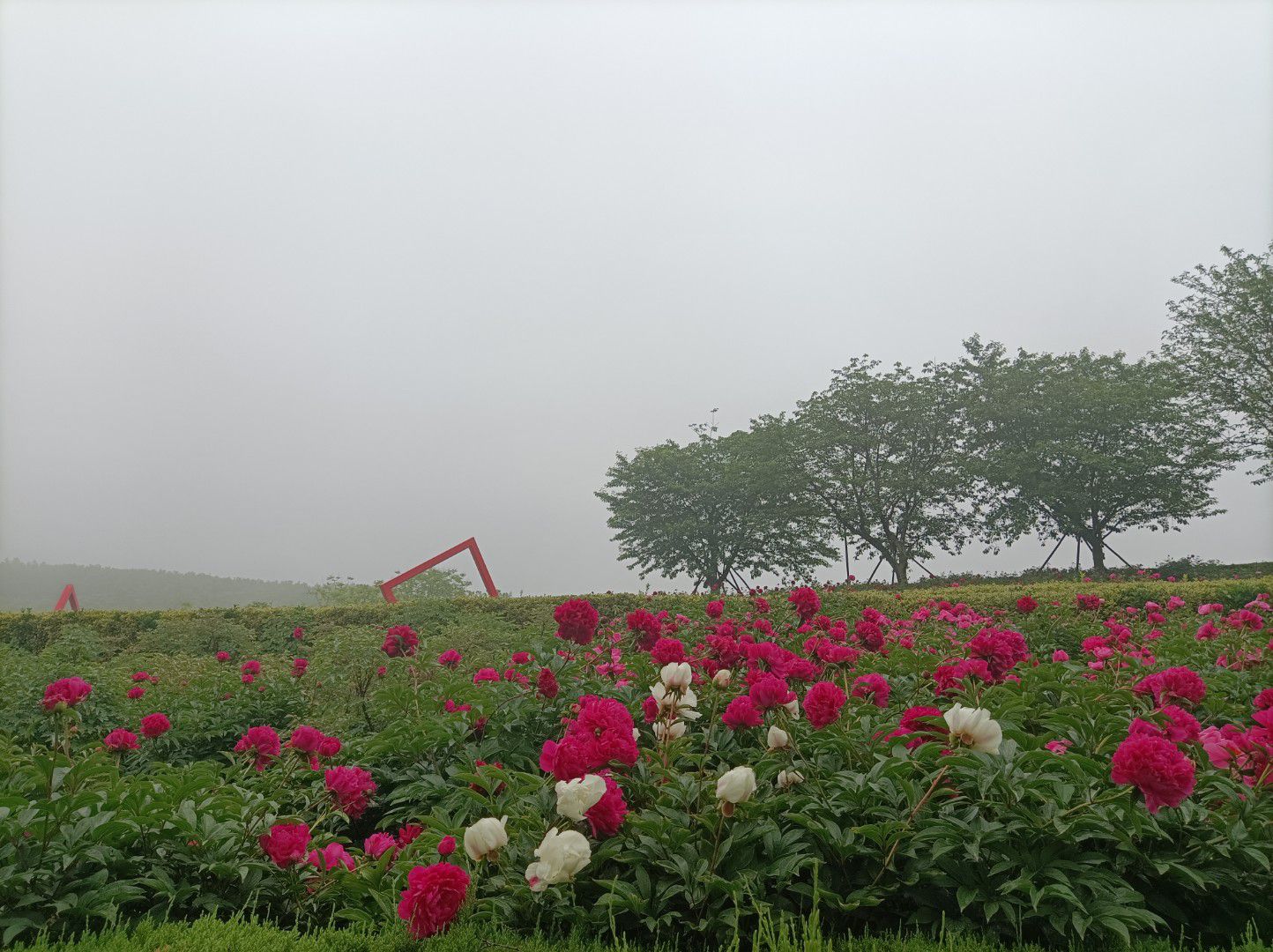 藏马山国际旅游度假区旅行图片