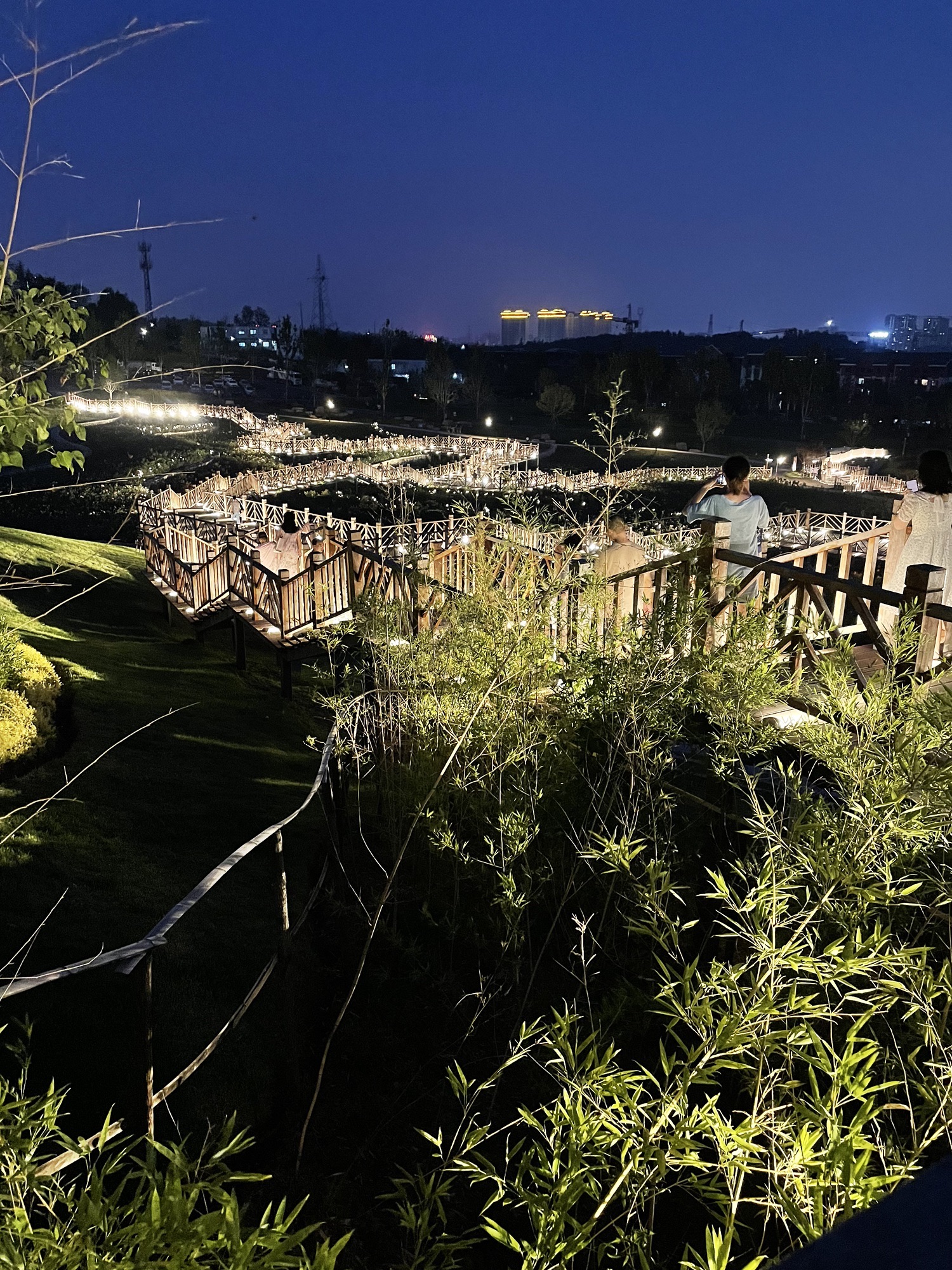 白马寺山植物园旅行图片 2