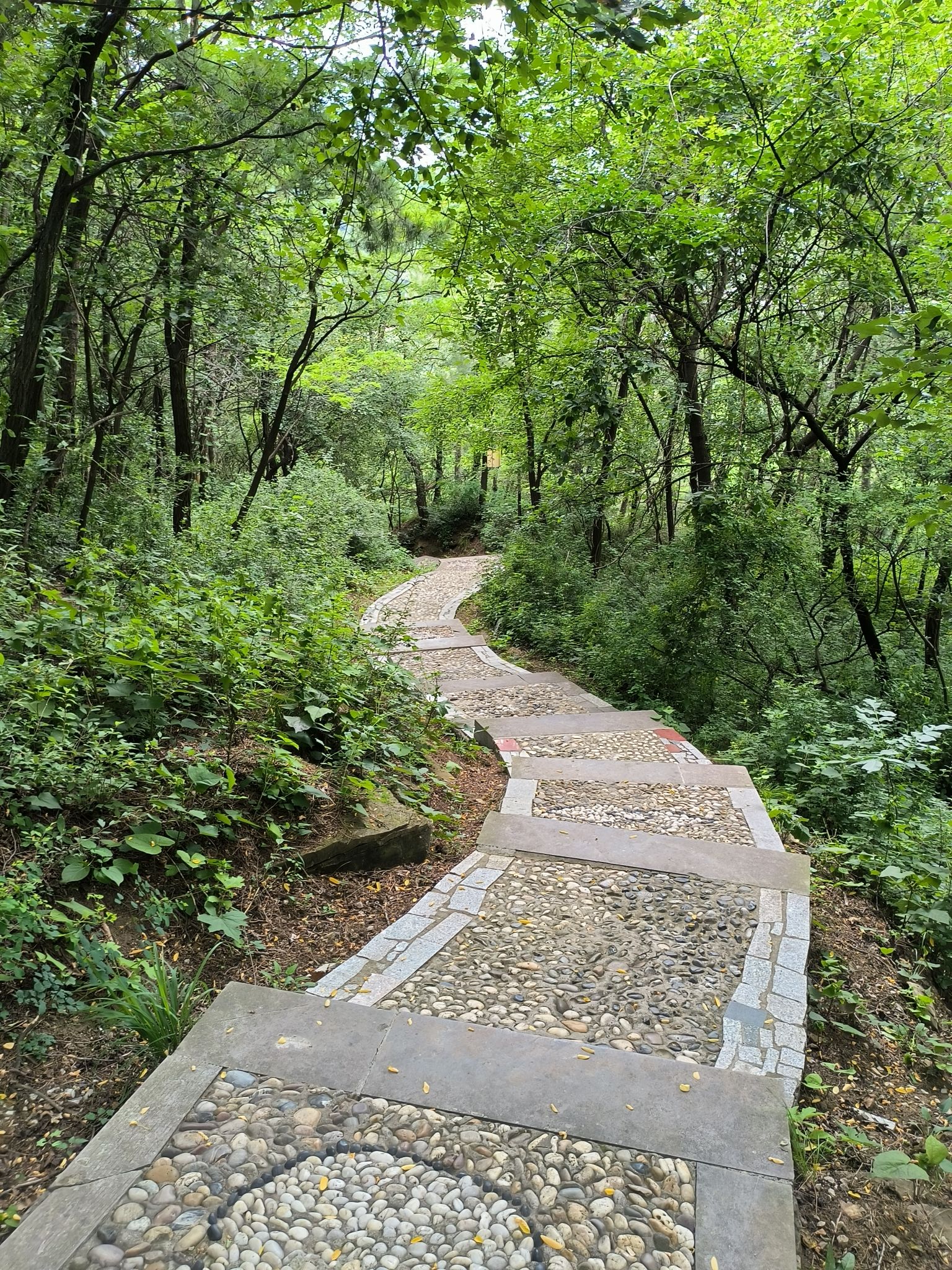 龙山公园