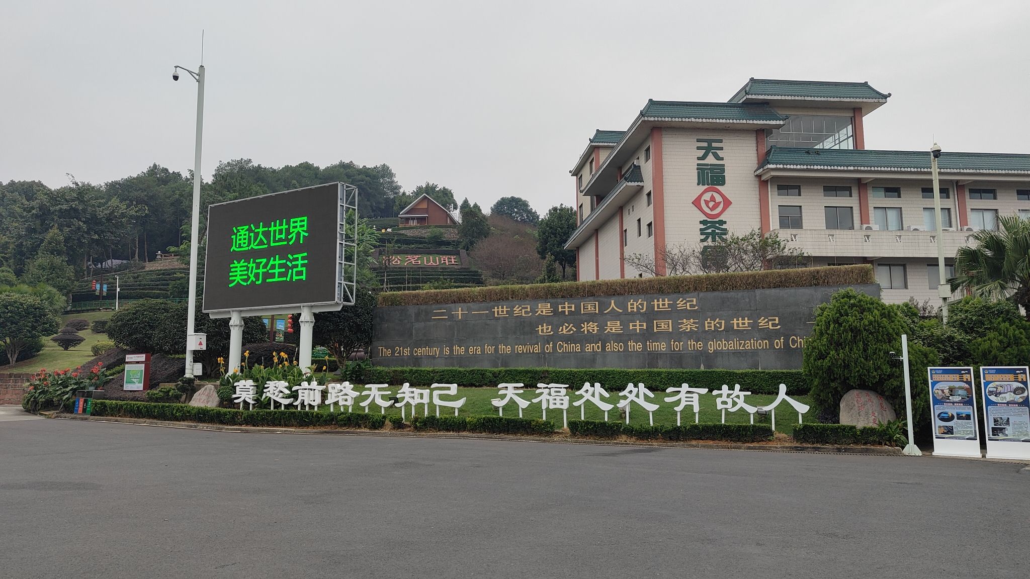 天福观光茶园旅行图片 1