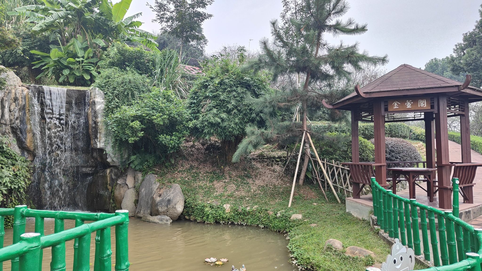 天福观光茶园旅行图片 2