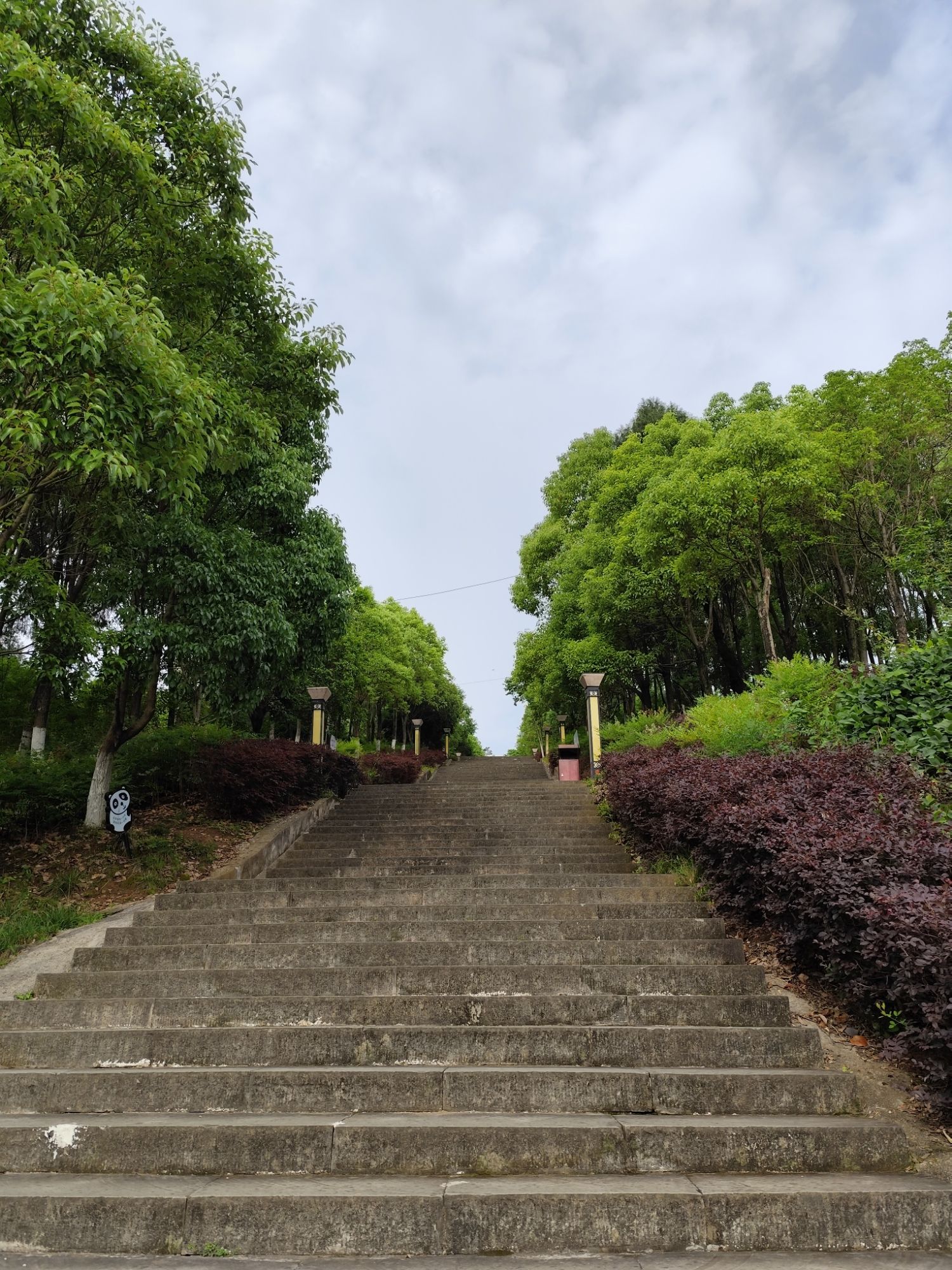 宝龙山公园旅行图片 3