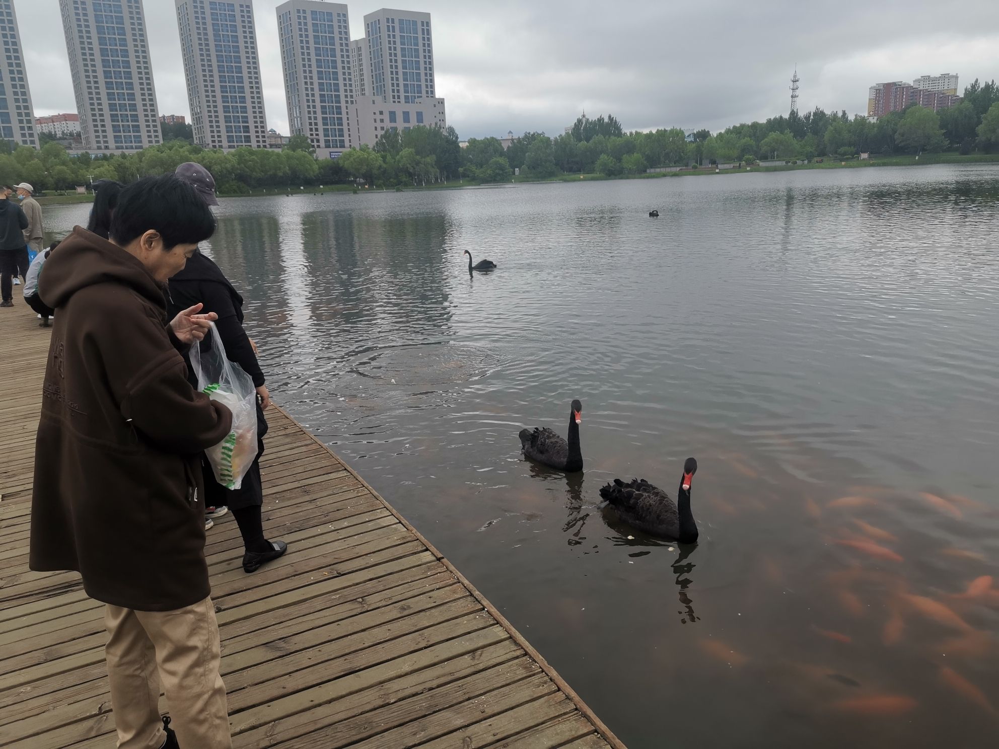 民生广场旅行图片 2